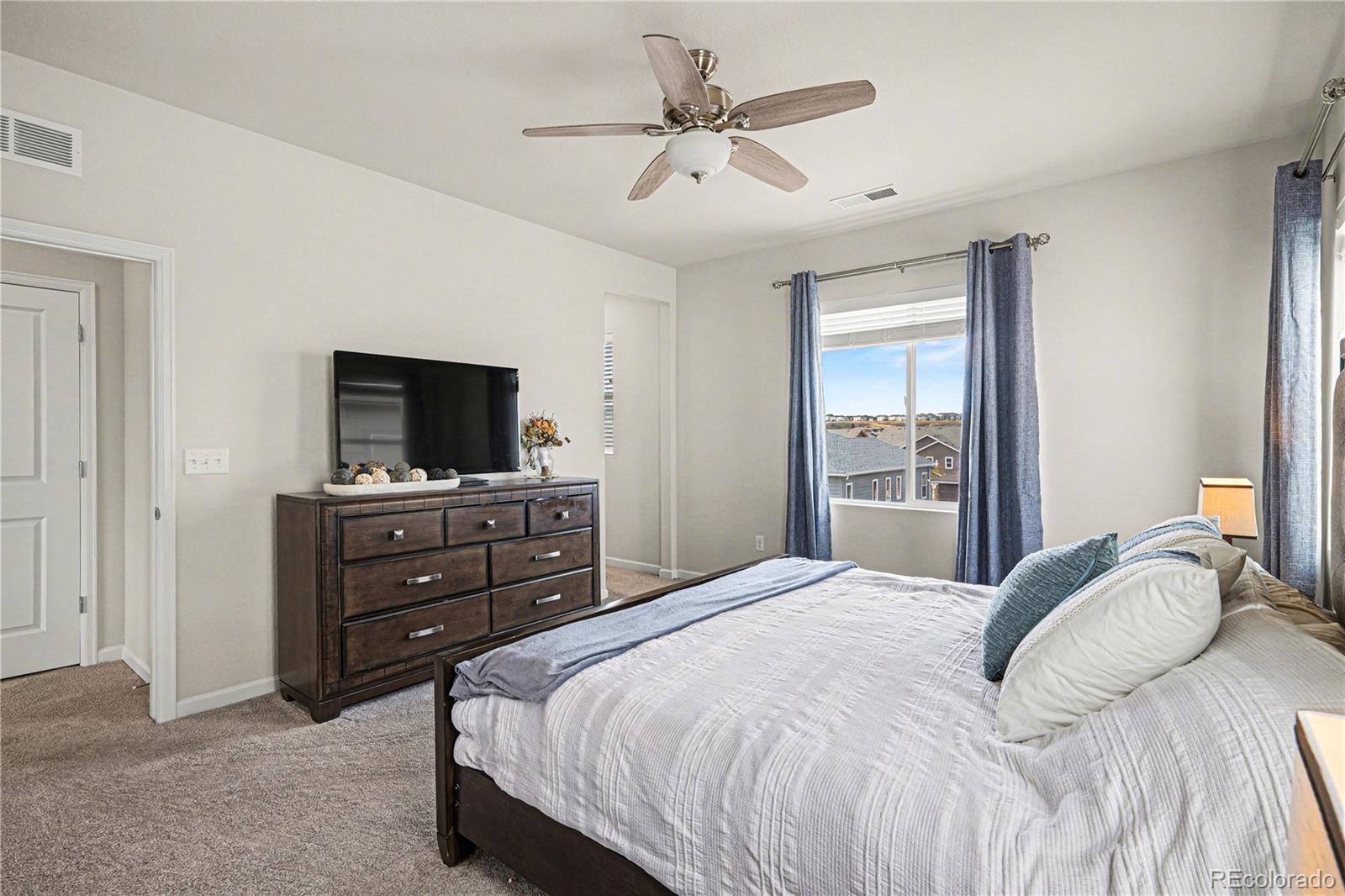 MLS Image #20 for 1172  basalt ridge loop,castle rock, Colorado