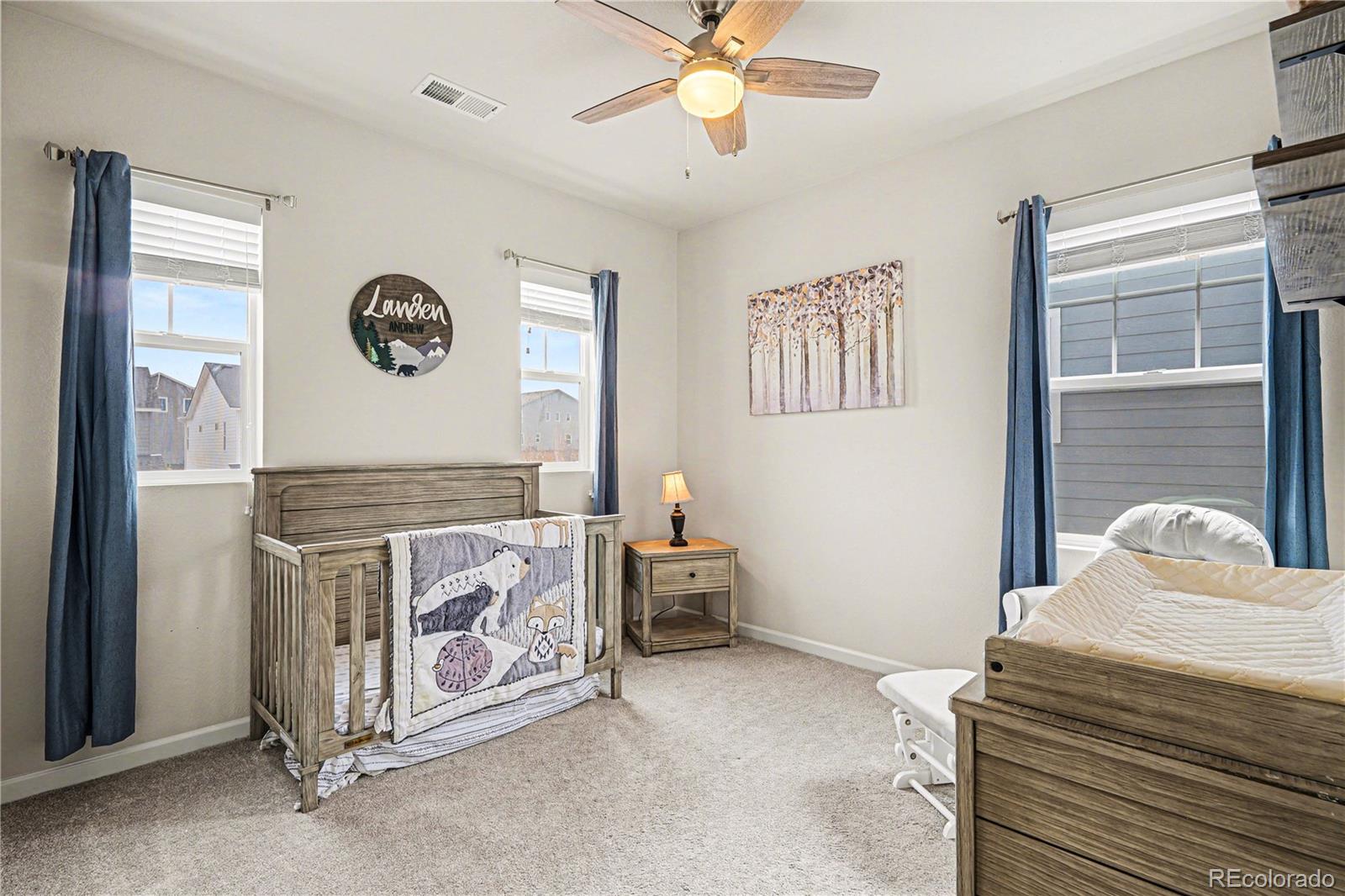 MLS Image #25 for 1172  basalt ridge loop,castle rock, Colorado