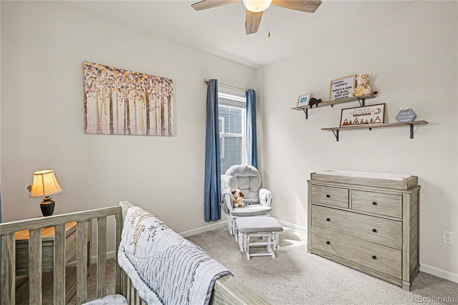 MLS Image #26 for 1172  basalt ridge loop,castle rock, Colorado