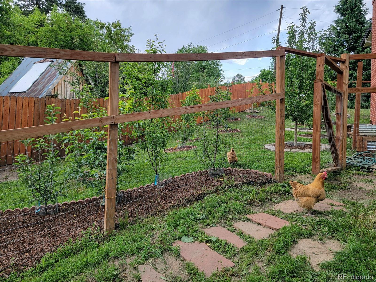 MLS Image #25 for 570  columbine avenue,golden, Colorado