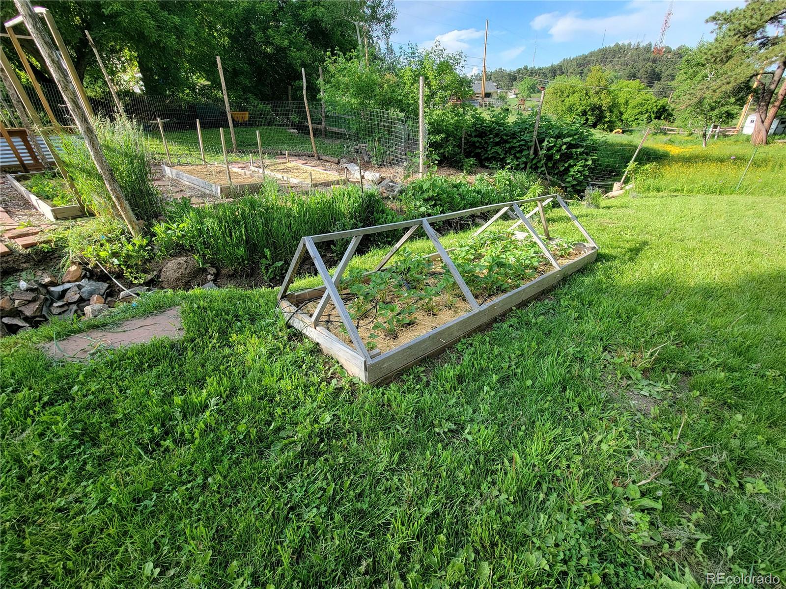 MLS Image #27 for 570  columbine avenue,golden, Colorado