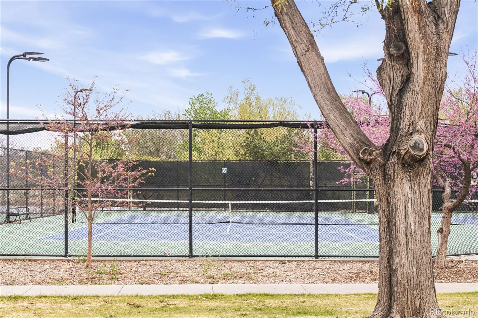 MLS Image #32 for 649 s ogden street,denver, Colorado