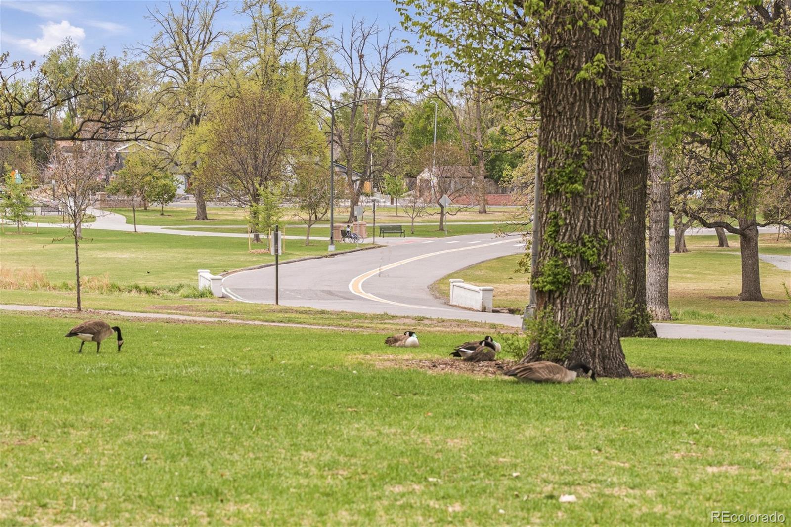 MLS Image #33 for 649 s ogden street,denver, Colorado