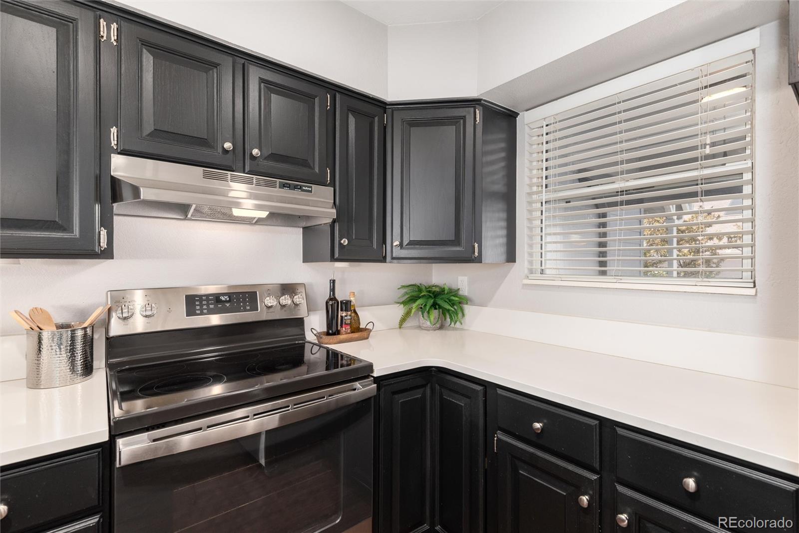 MLS Image #16 for 8074 s trinchera peak  ,littleton, Colorado