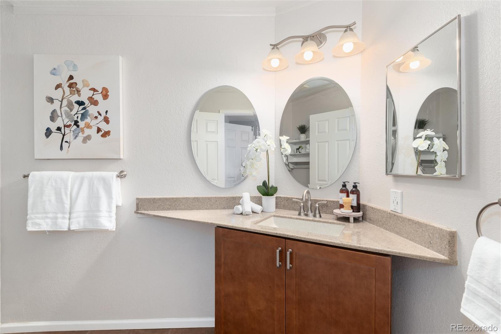 MLS Image #22 for 8074 s trinchera peak  ,littleton, Colorado