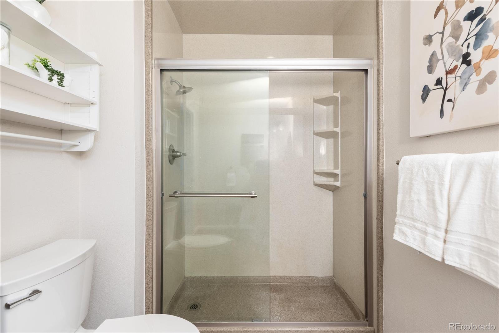 MLS Image #23 for 8074 s trinchera peak  ,littleton, Colorado