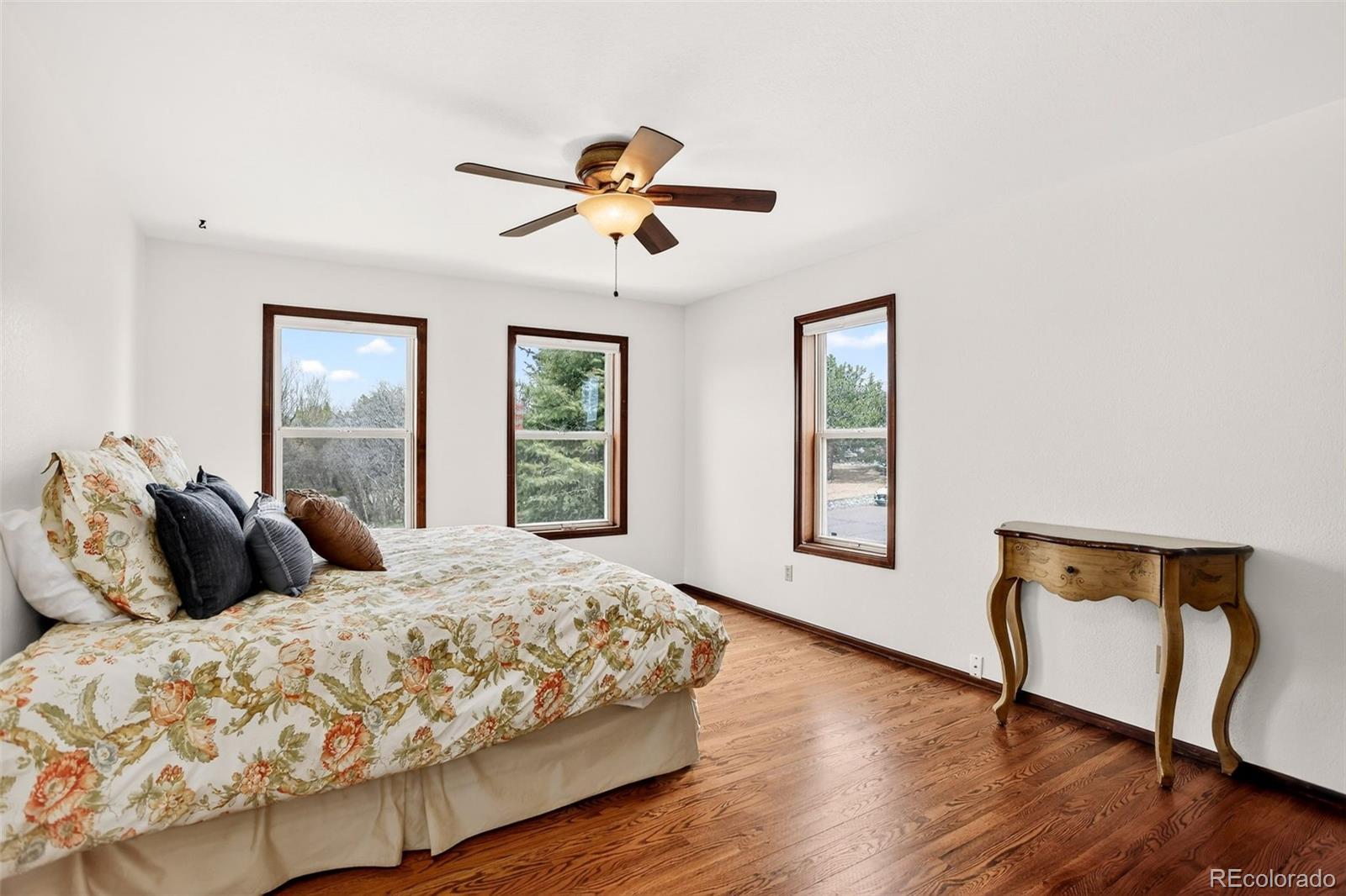 MLS Image #18 for 135  palm springs drive,colorado springs, Colorado