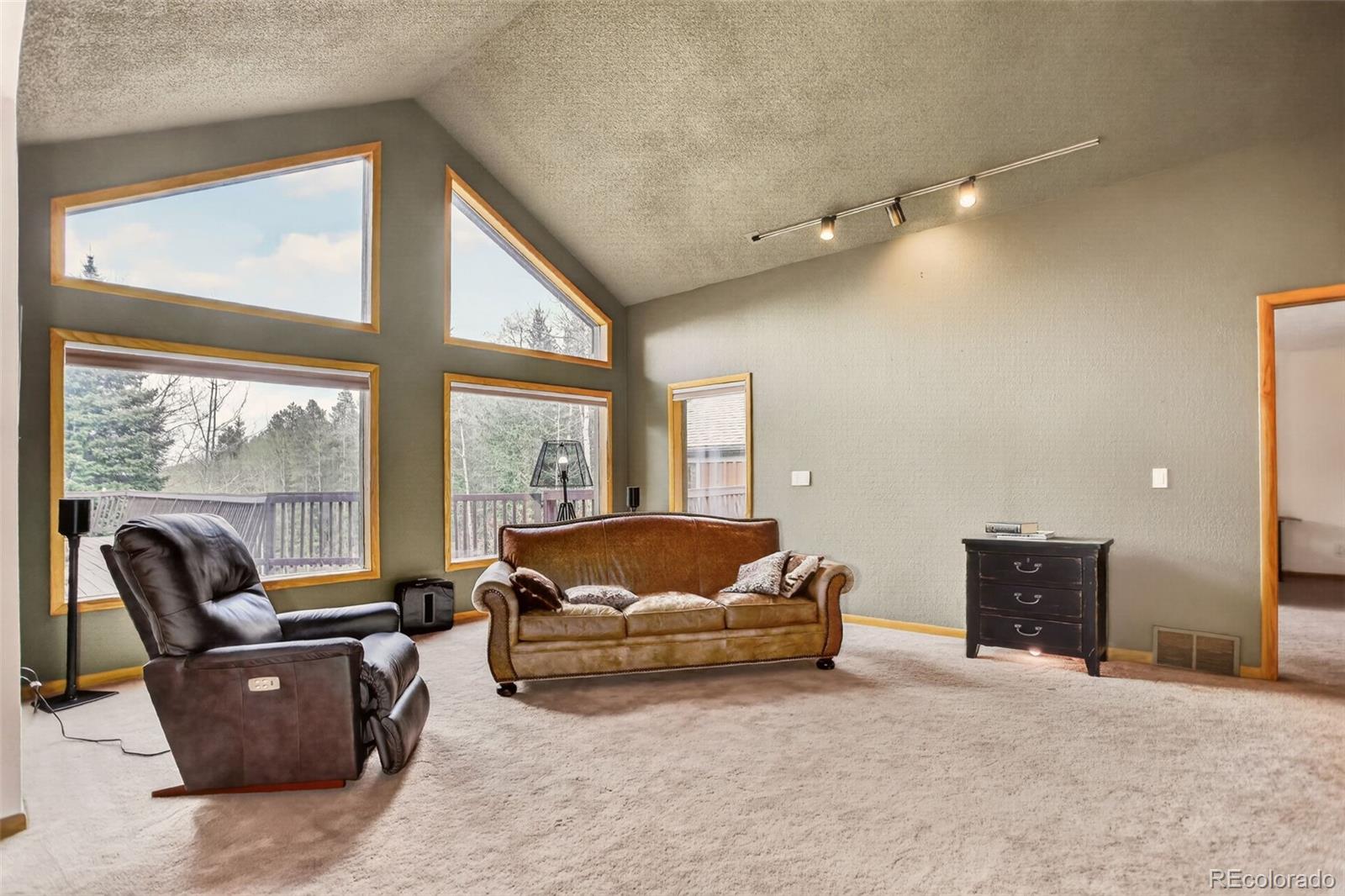 MLS Image #12 for 2720 s spring gulch road,idaho springs, Colorado