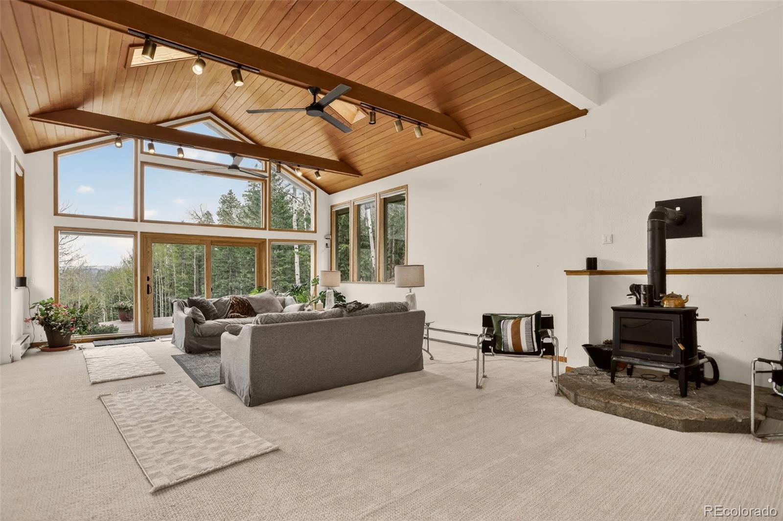 MLS Image #24 for 2720 s spring gulch road,idaho springs, Colorado