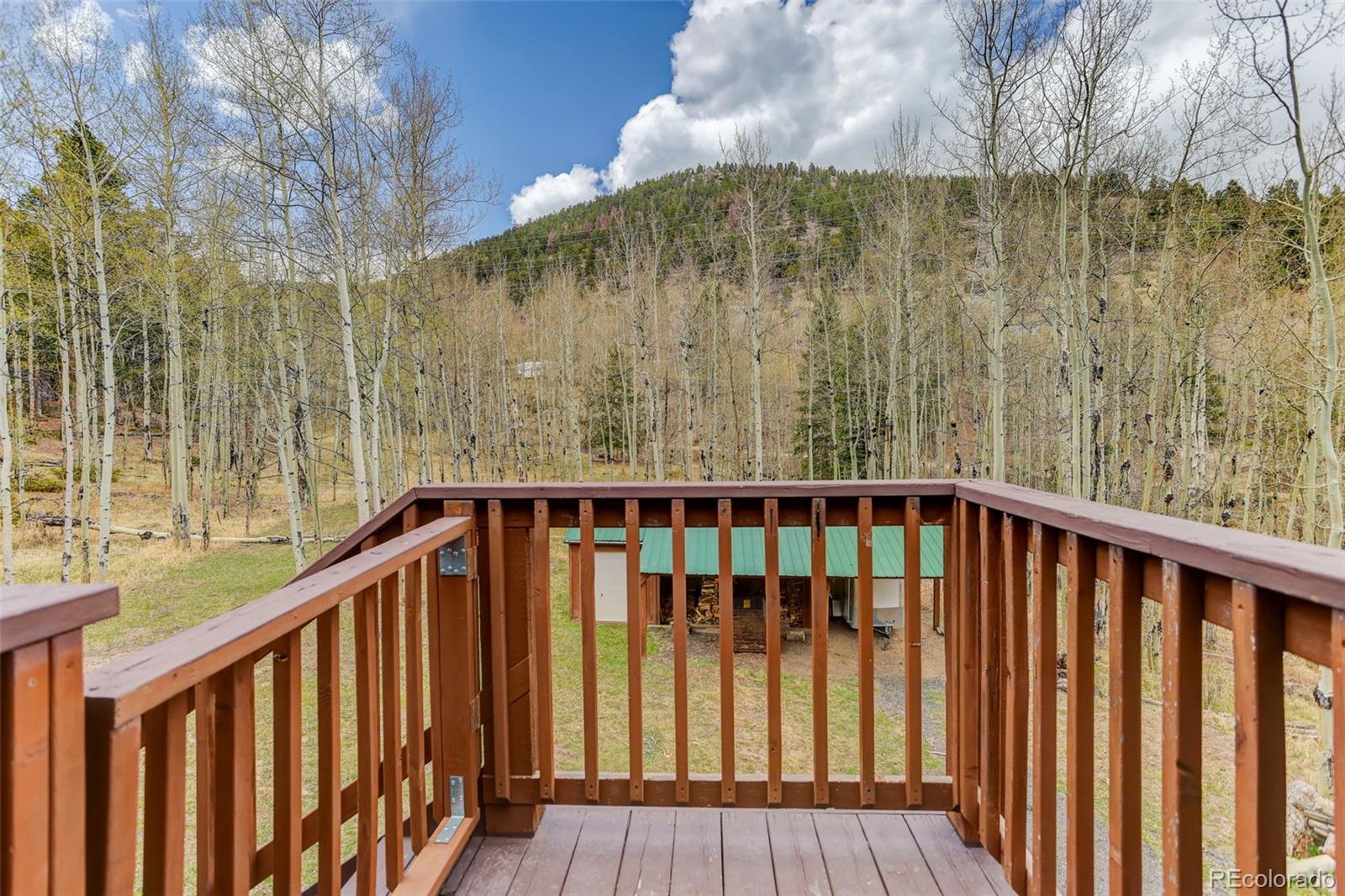 MLS Image #45 for 2720 s spring gulch road,idaho springs, Colorado