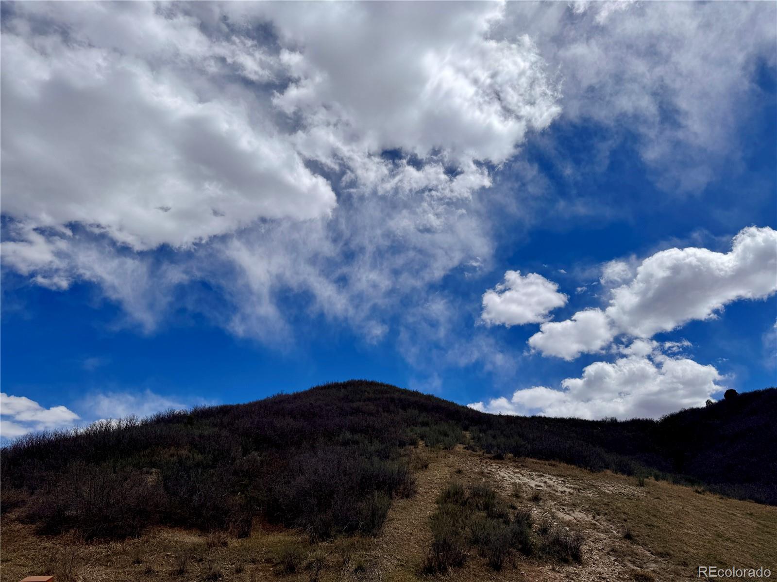 MLS Image #19 for 1501  live oak road ,castle rock, Colorado
