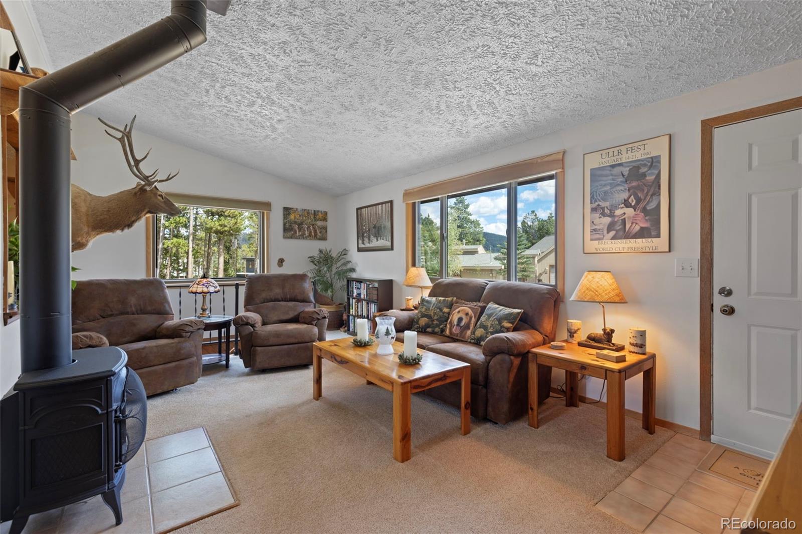 MLS Image #10 for 599  american way,breckenridge, Colorado