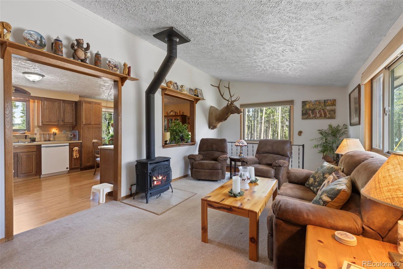 MLS Image #11 for 599  american way,breckenridge, Colorado