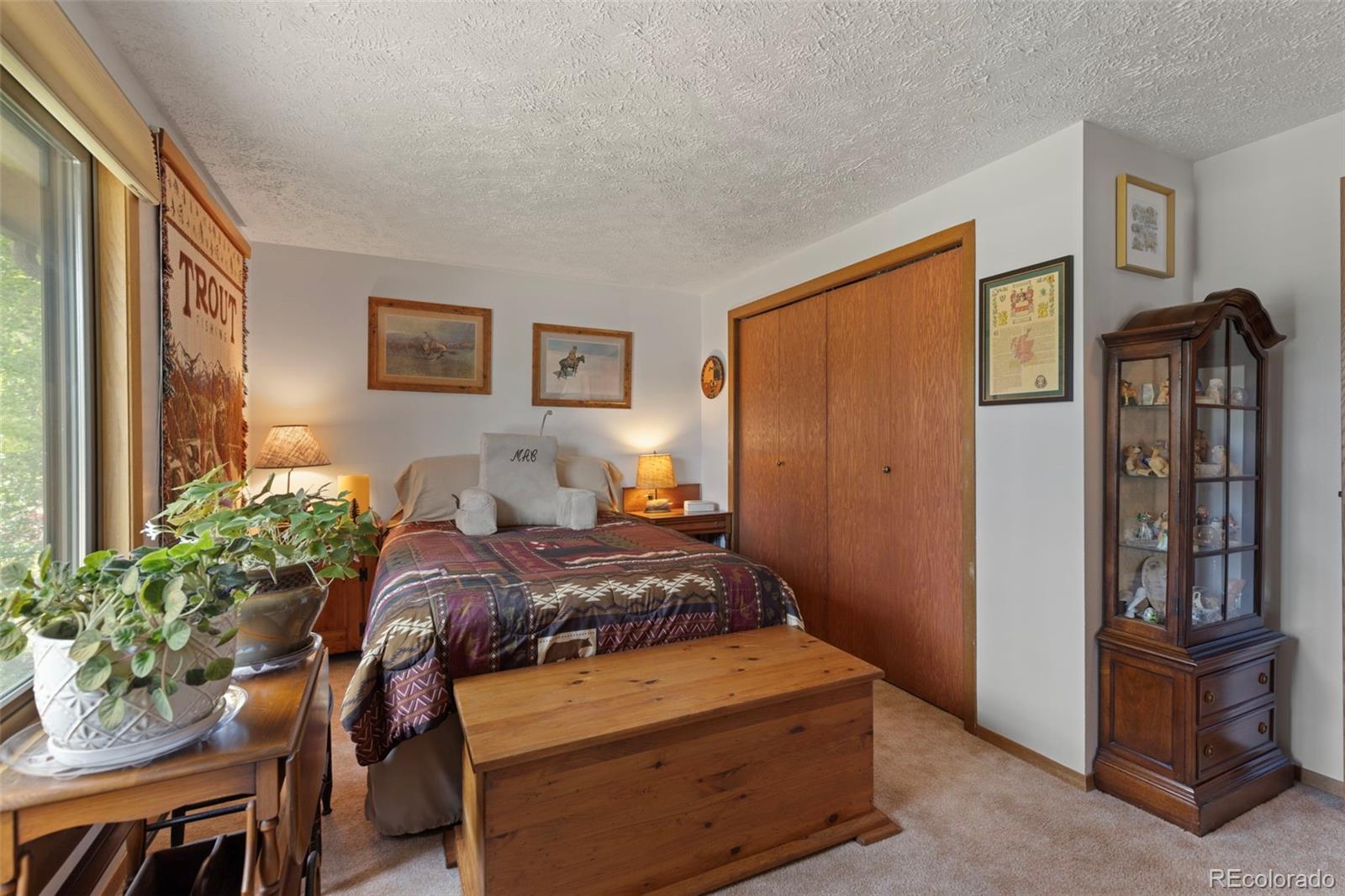 MLS Image #14 for 599  american way,breckenridge, Colorado