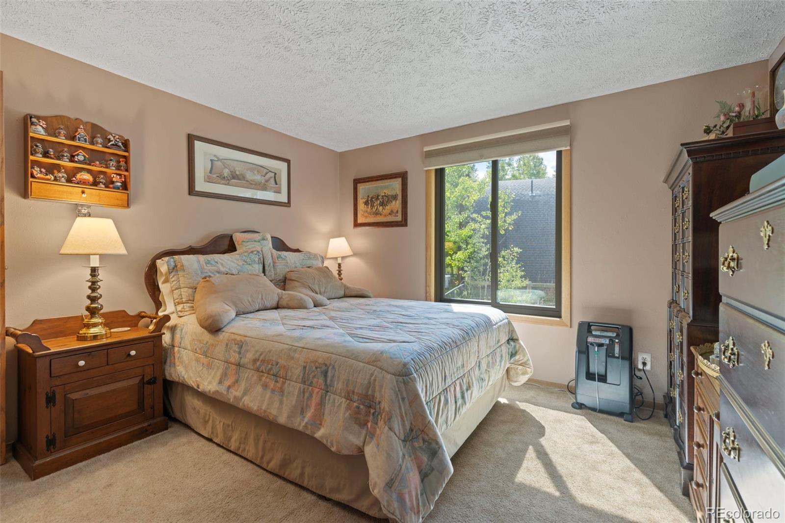 MLS Image #18 for 599  american way,breckenridge, Colorado