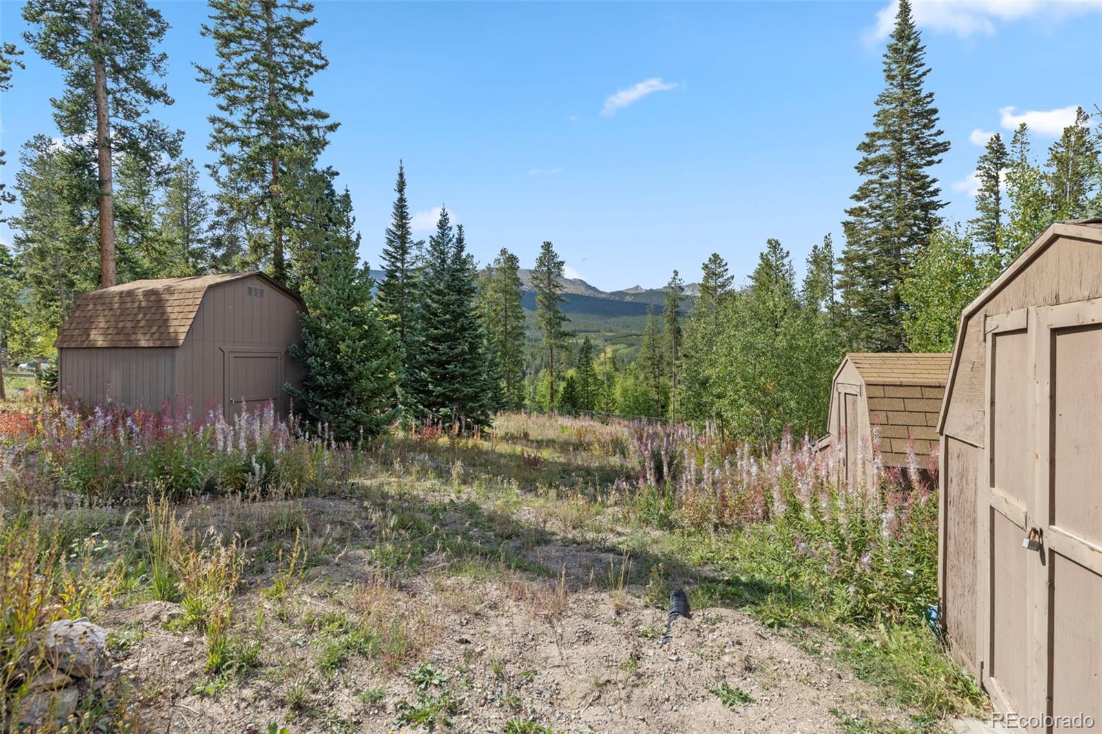 MLS Image #37 for 599  american way,breckenridge, Colorado