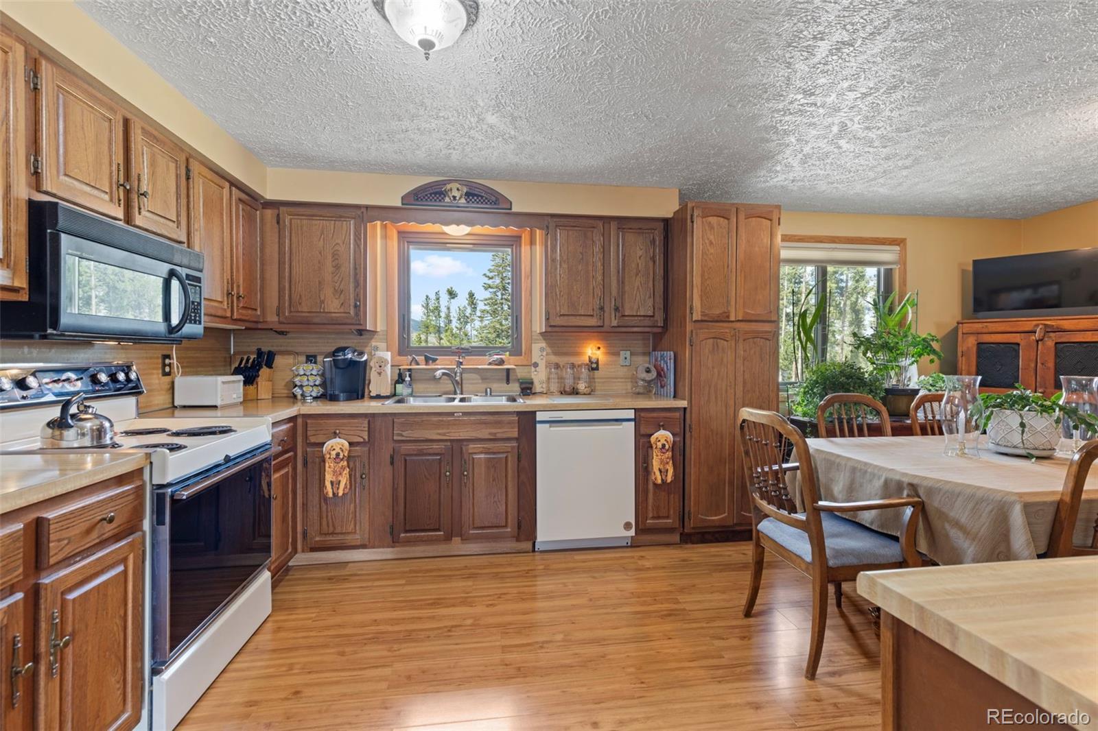 MLS Image #9 for 599  american way,breckenridge, Colorado