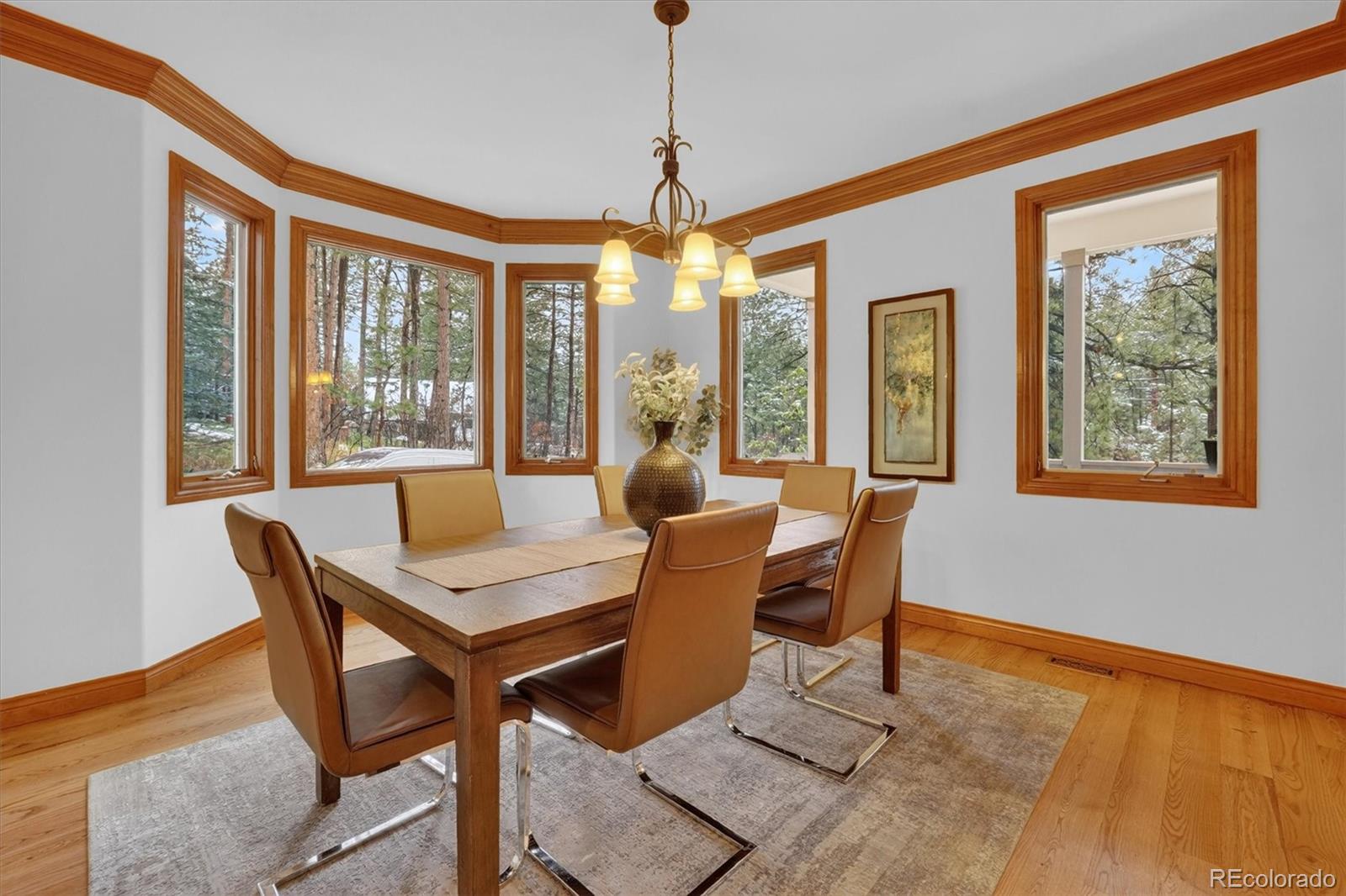 MLS Image #10 for 916  tenderfoot drive,larkspur, Colorado