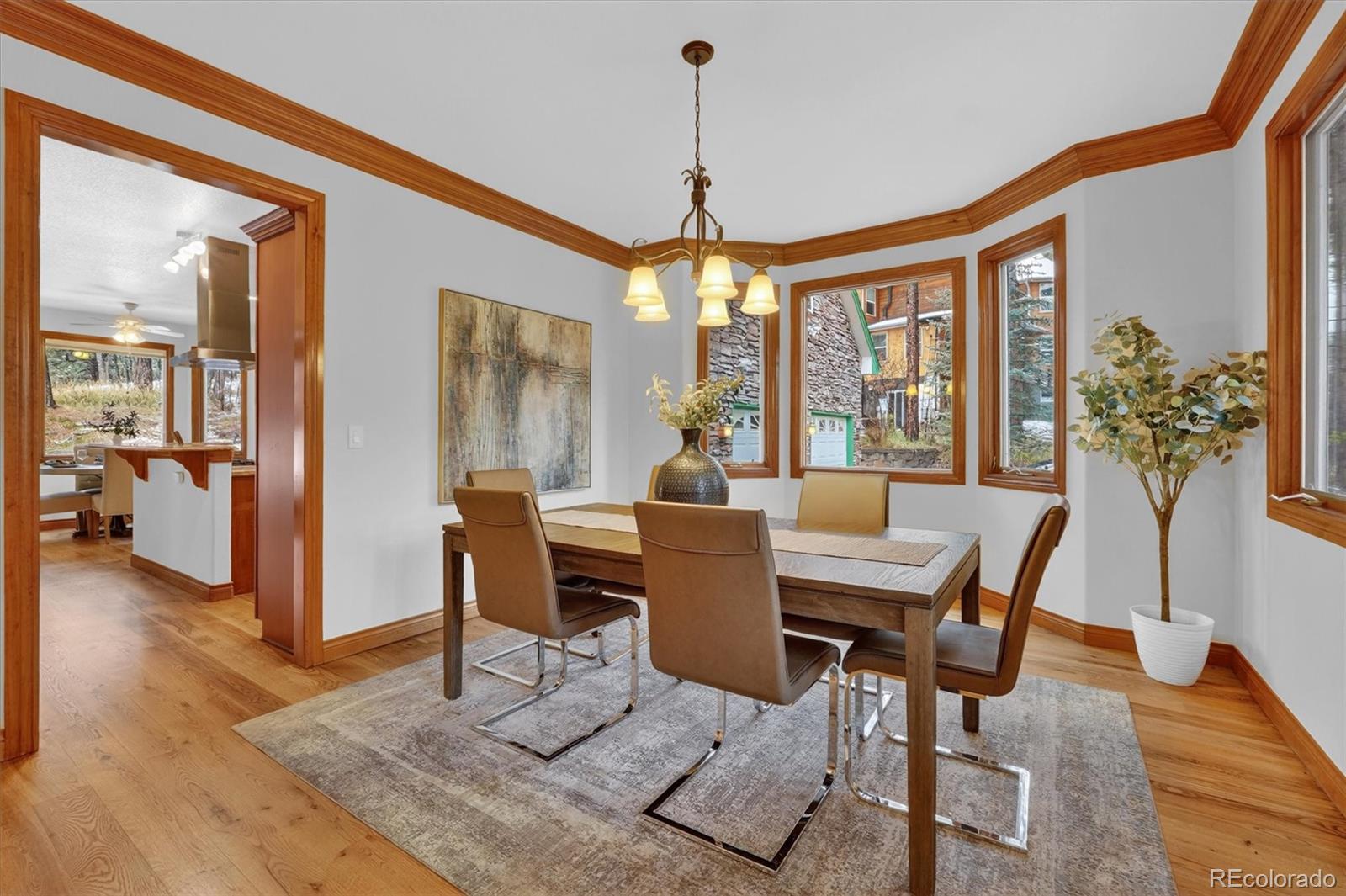MLS Image #11 for 916  tenderfoot drive,larkspur, Colorado