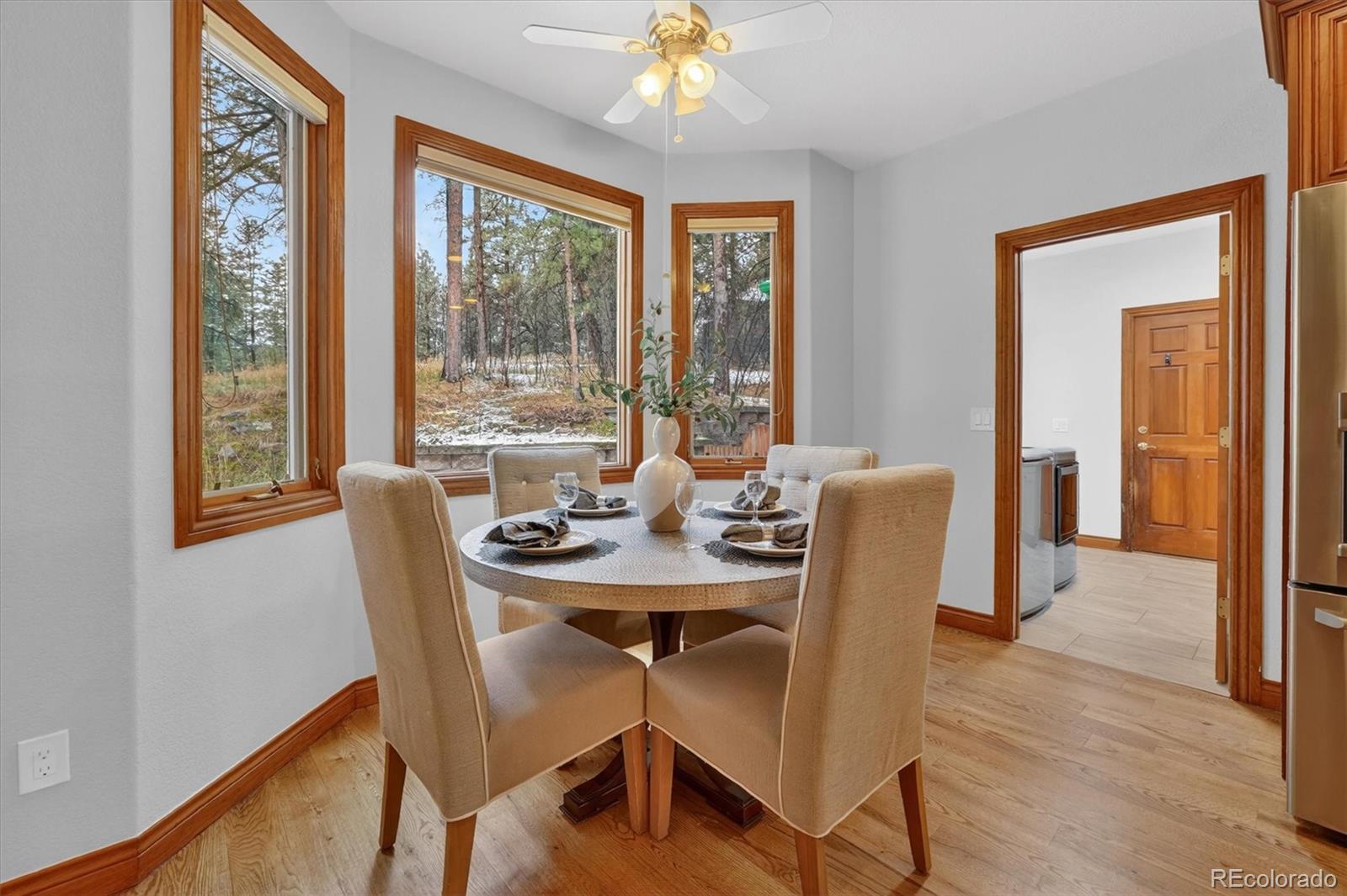 MLS Image #16 for 916  tenderfoot drive,larkspur, Colorado