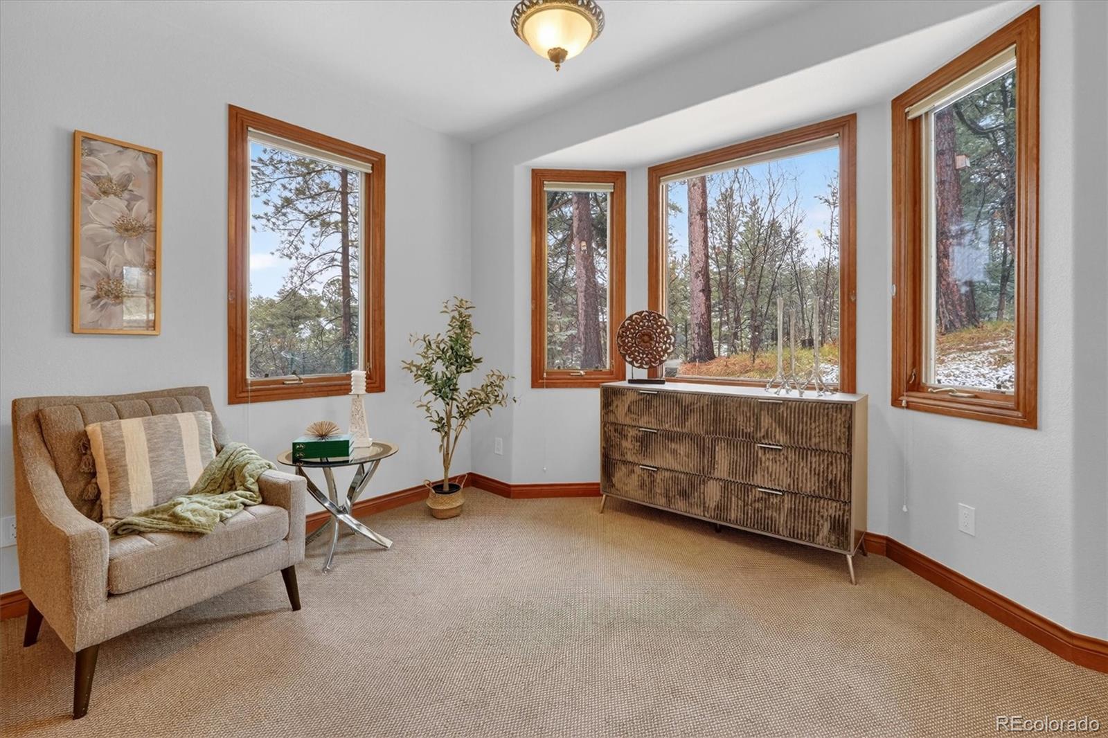 MLS Image #22 for 916  tenderfoot drive,larkspur, Colorado