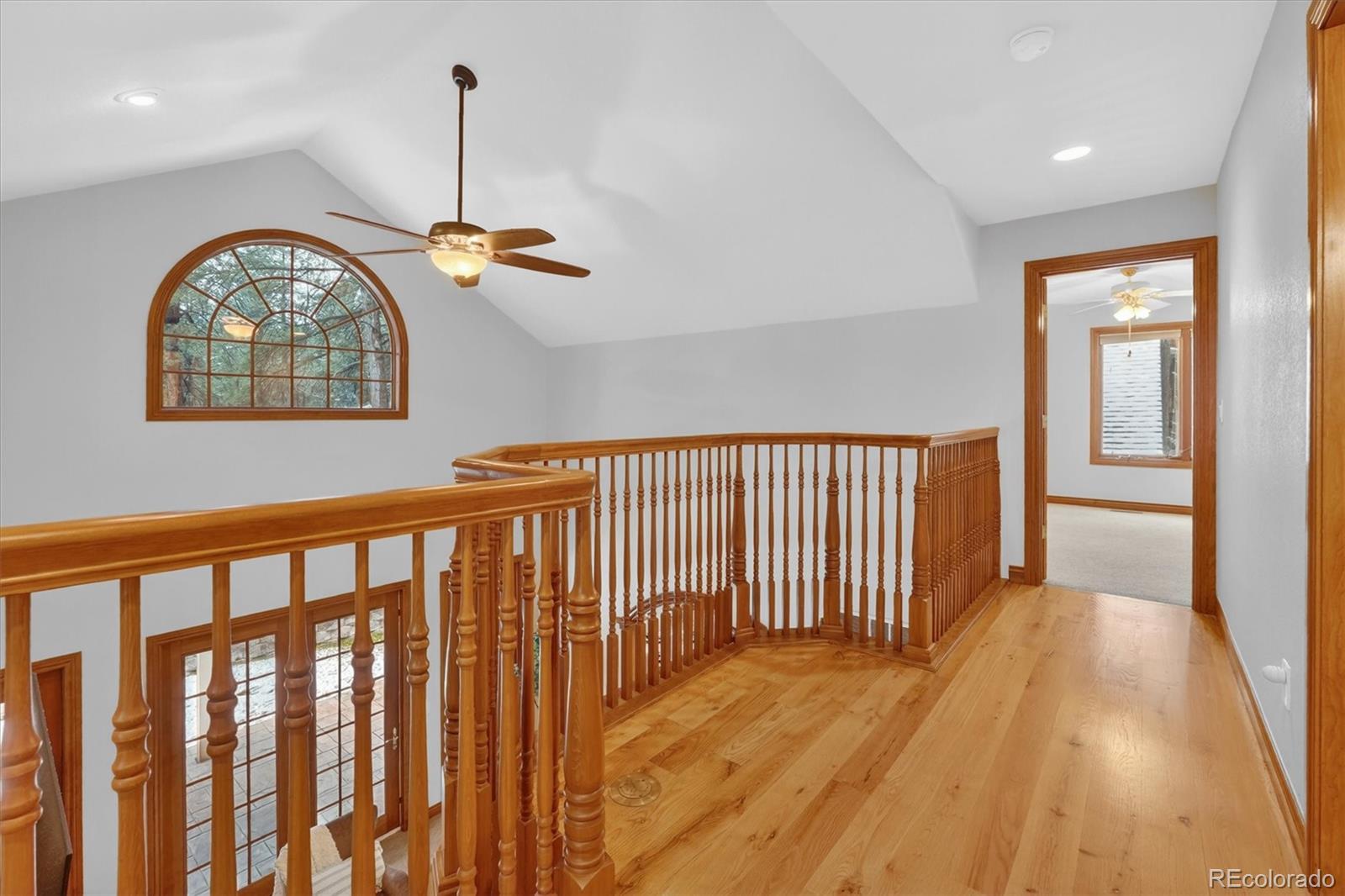 MLS Image #32 for 916  tenderfoot drive,larkspur, Colorado