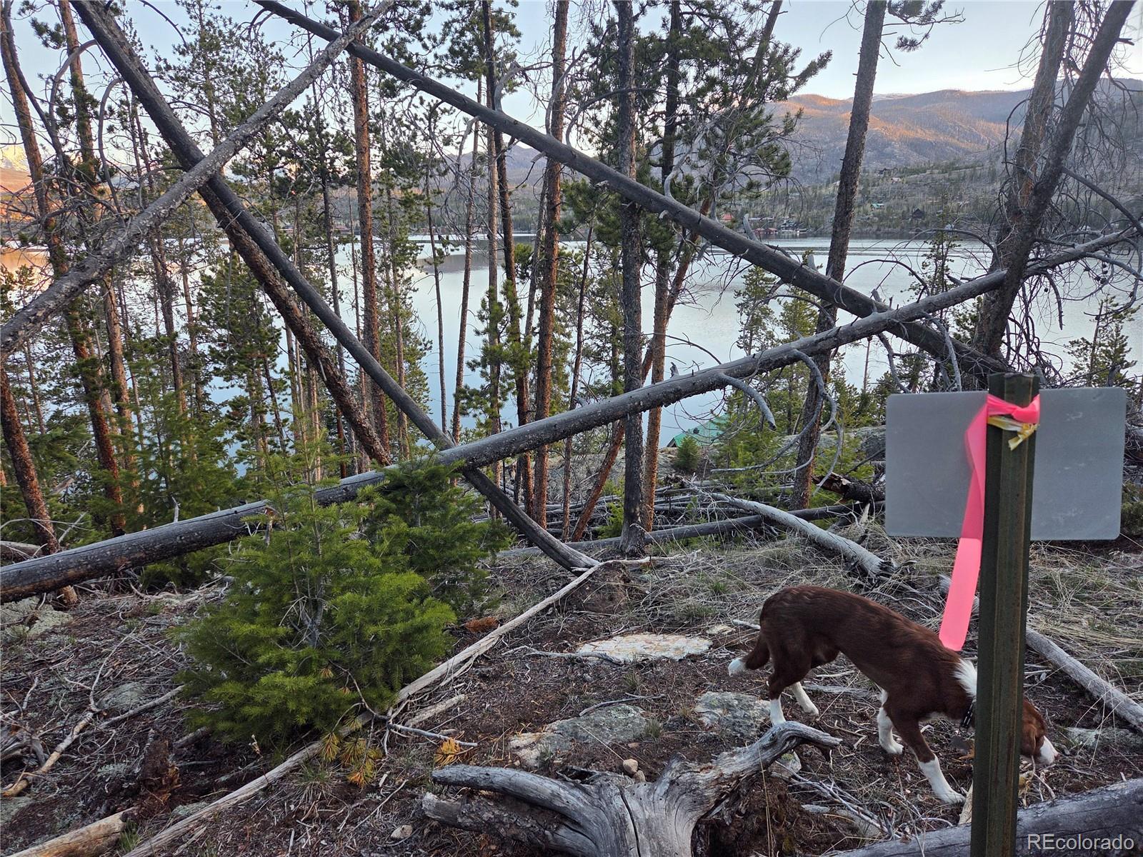 MLS Image #28 for 1423  grand county road 697 ,grand lake, Colorado