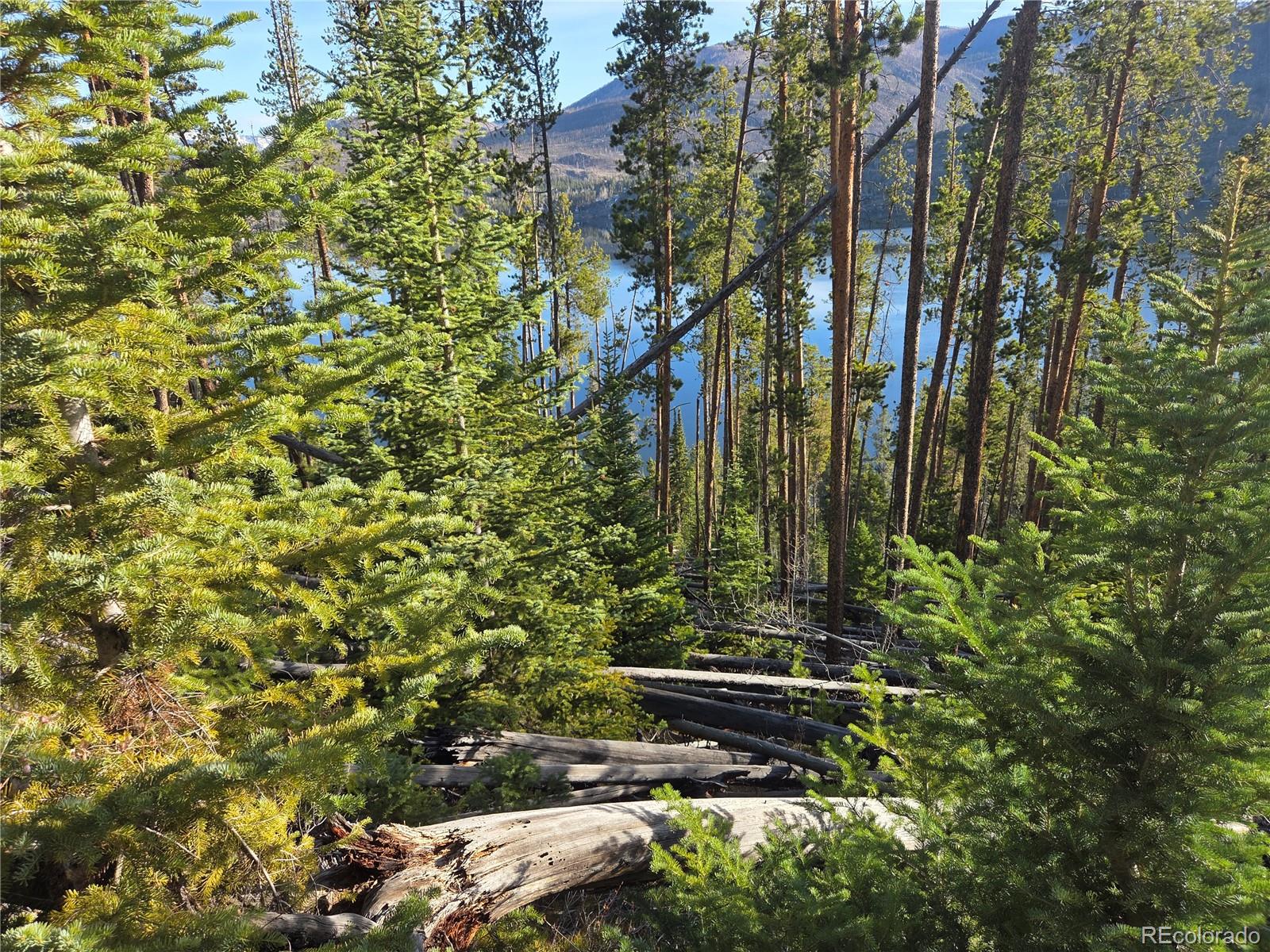 MLS Image #29 for 1423  grand county road 697 ,grand lake, Colorado