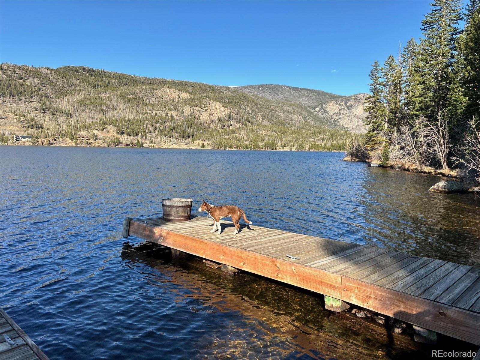MLS Image #43 for 1423  grand county road 697 ,grand lake, Colorado