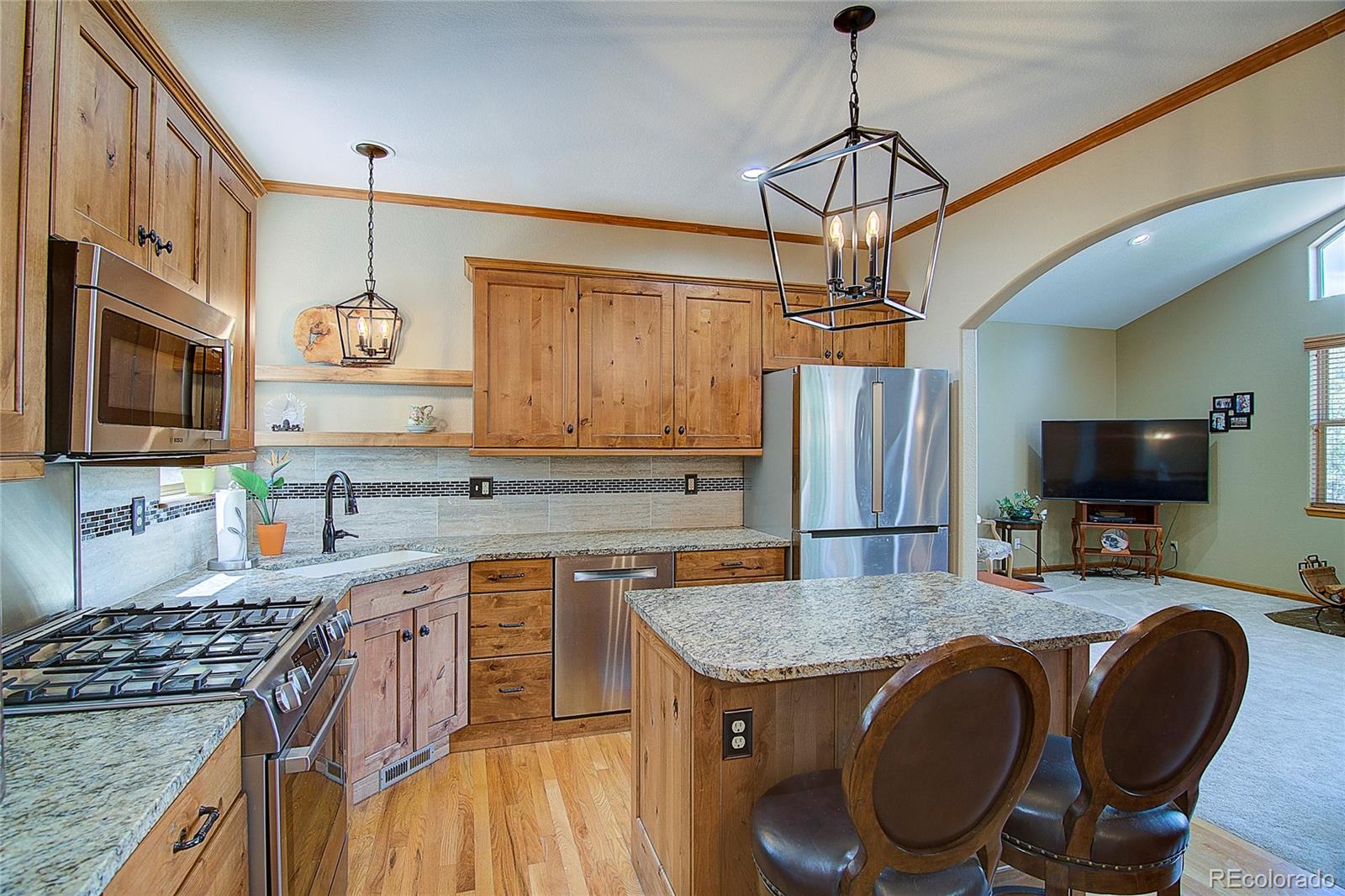 MLS Image #13 for 434 s random road,bailey, Colorado