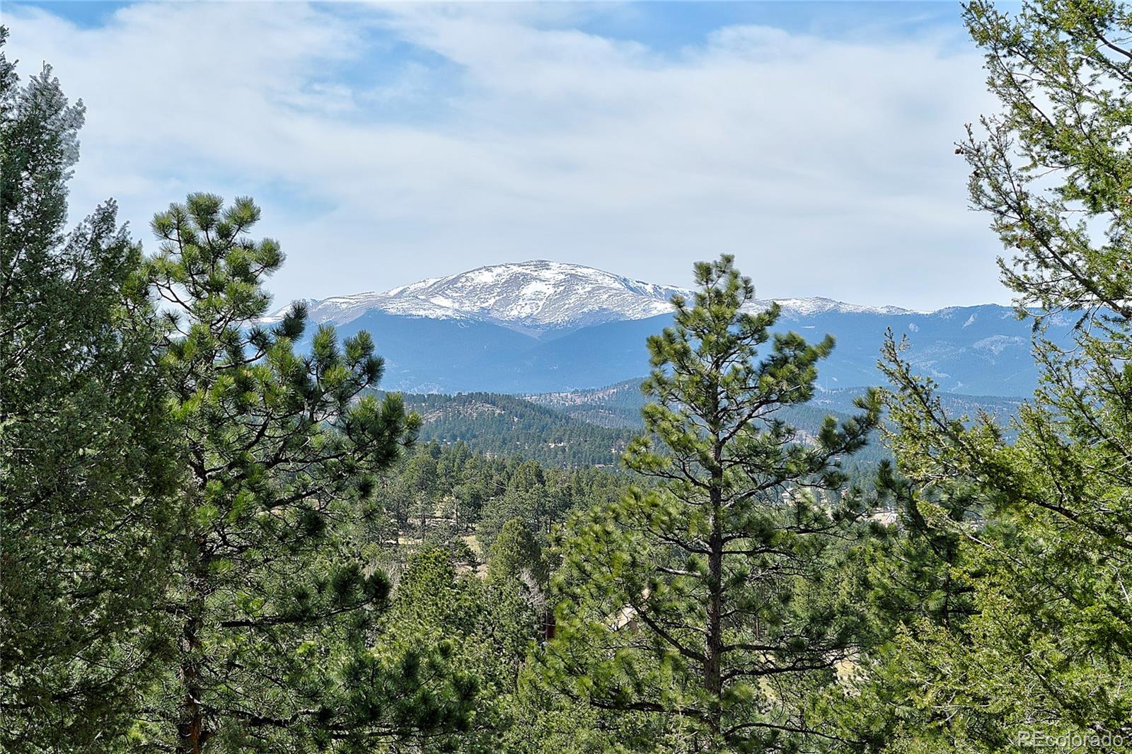 MLS Image #4 for 434 s random road,bailey, Colorado