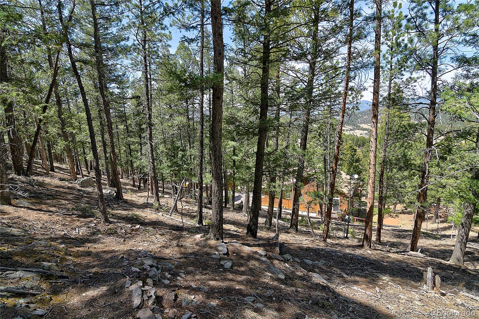 MLS Image #40 for 434 s random road,bailey, Colorado