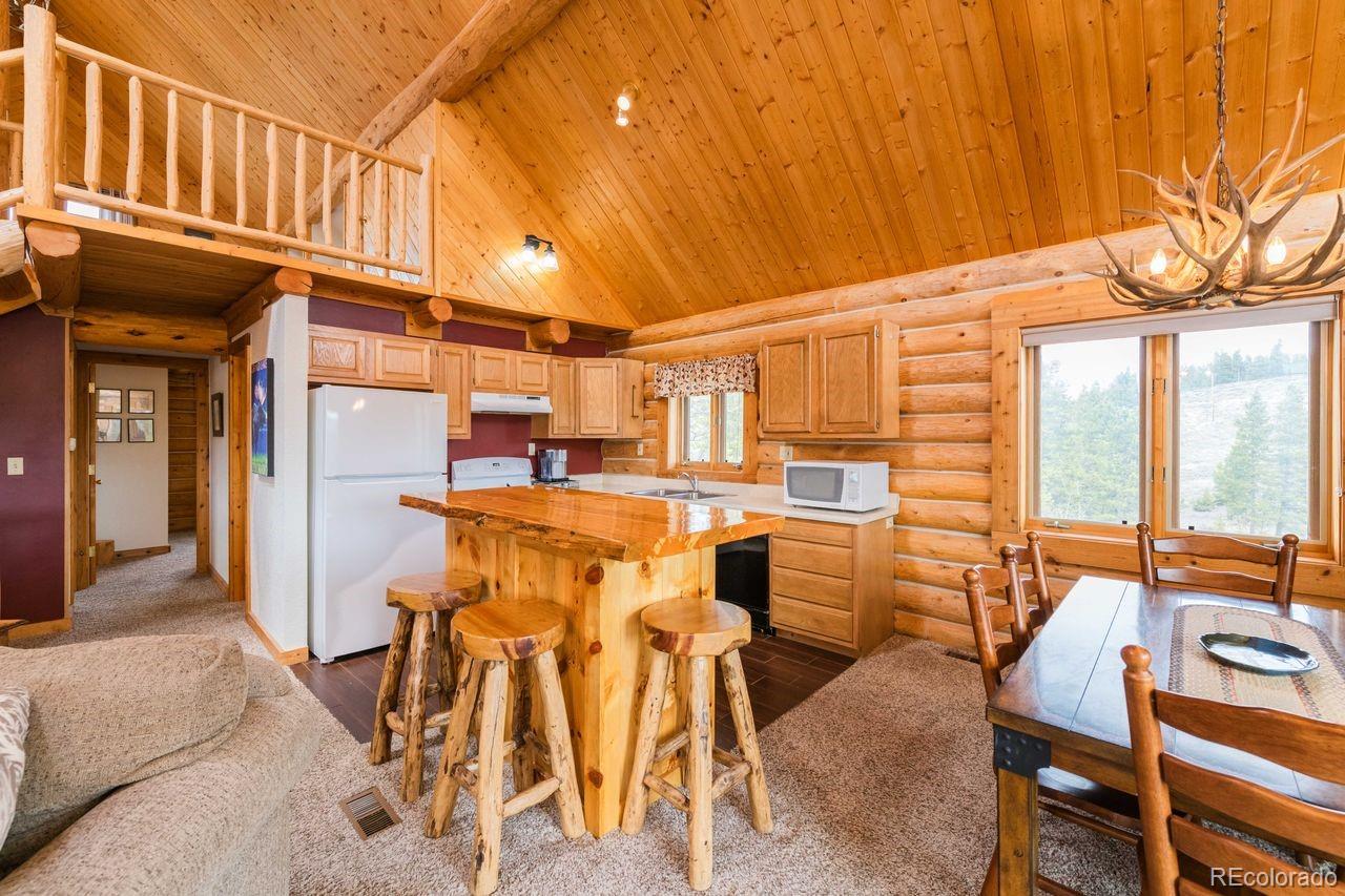 MLS Image #7 for 161  gcr 4106 ,granby, Colorado