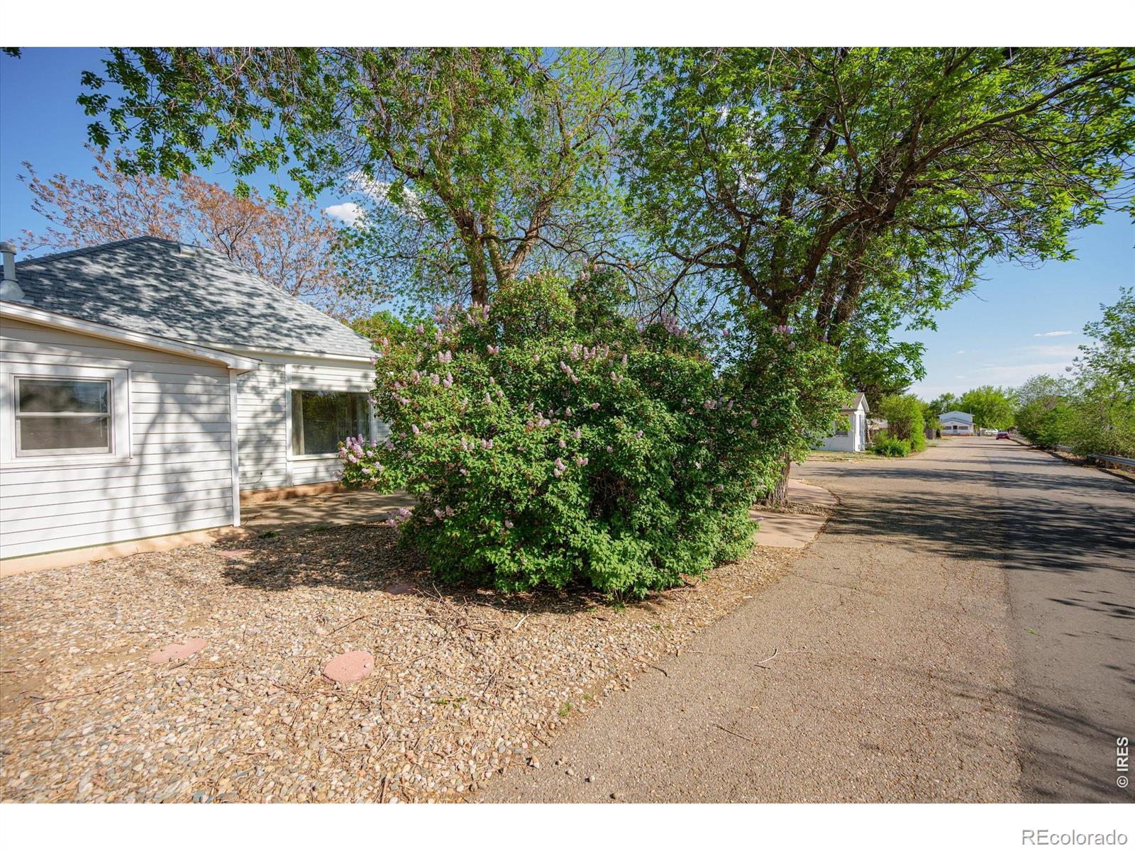 MLS Image #7 for 103 e 12th street,loveland, Colorado