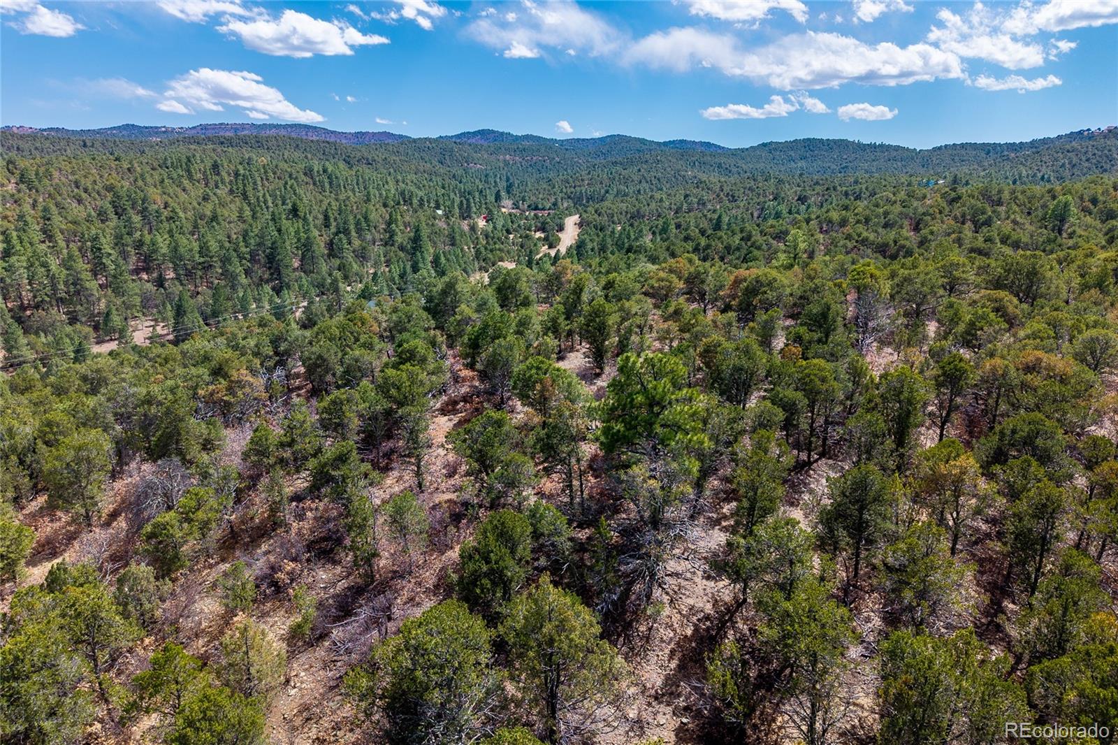 MLS Image #42 for 32790  old sopris road,trinidad, Colorado