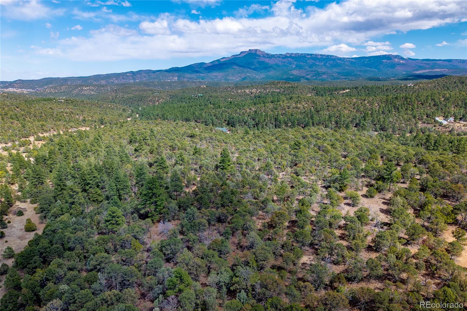 MLS Image #44 for 32790  old sopris road,trinidad, Colorado