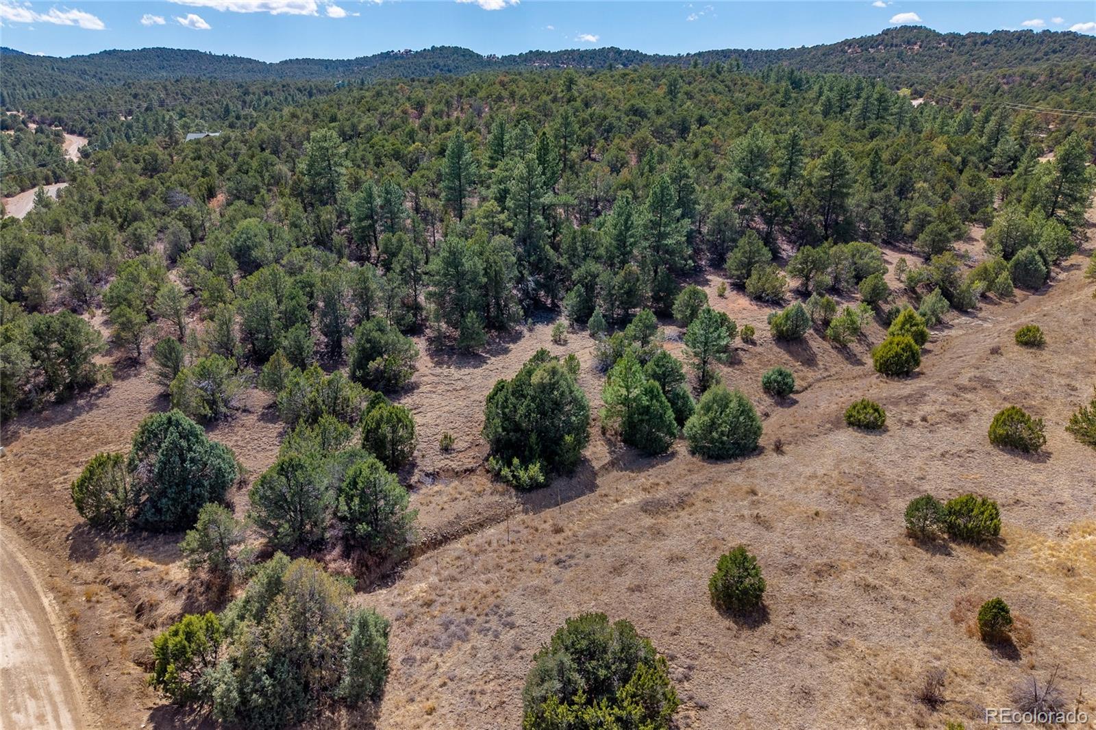 MLS Image #45 for 32790  old sopris road,trinidad, Colorado