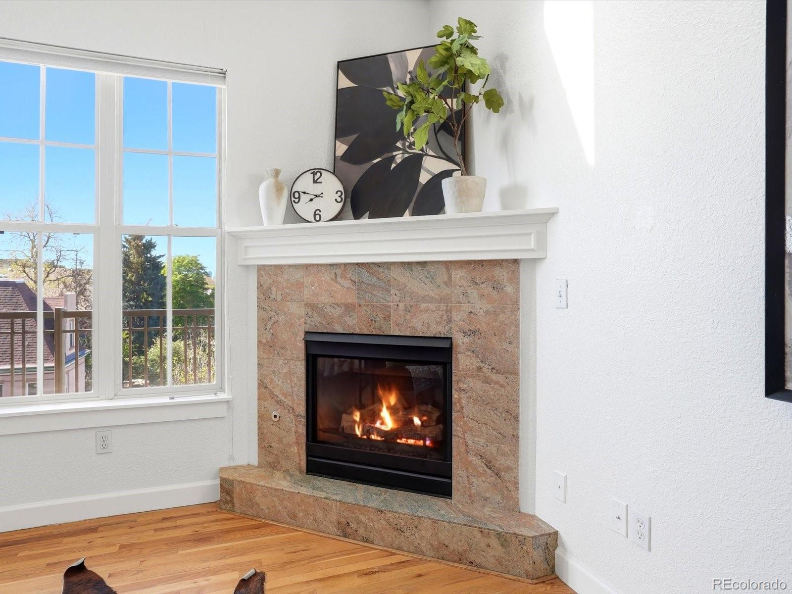 MLS Image #23 for 1699 n downing street,denver, Colorado