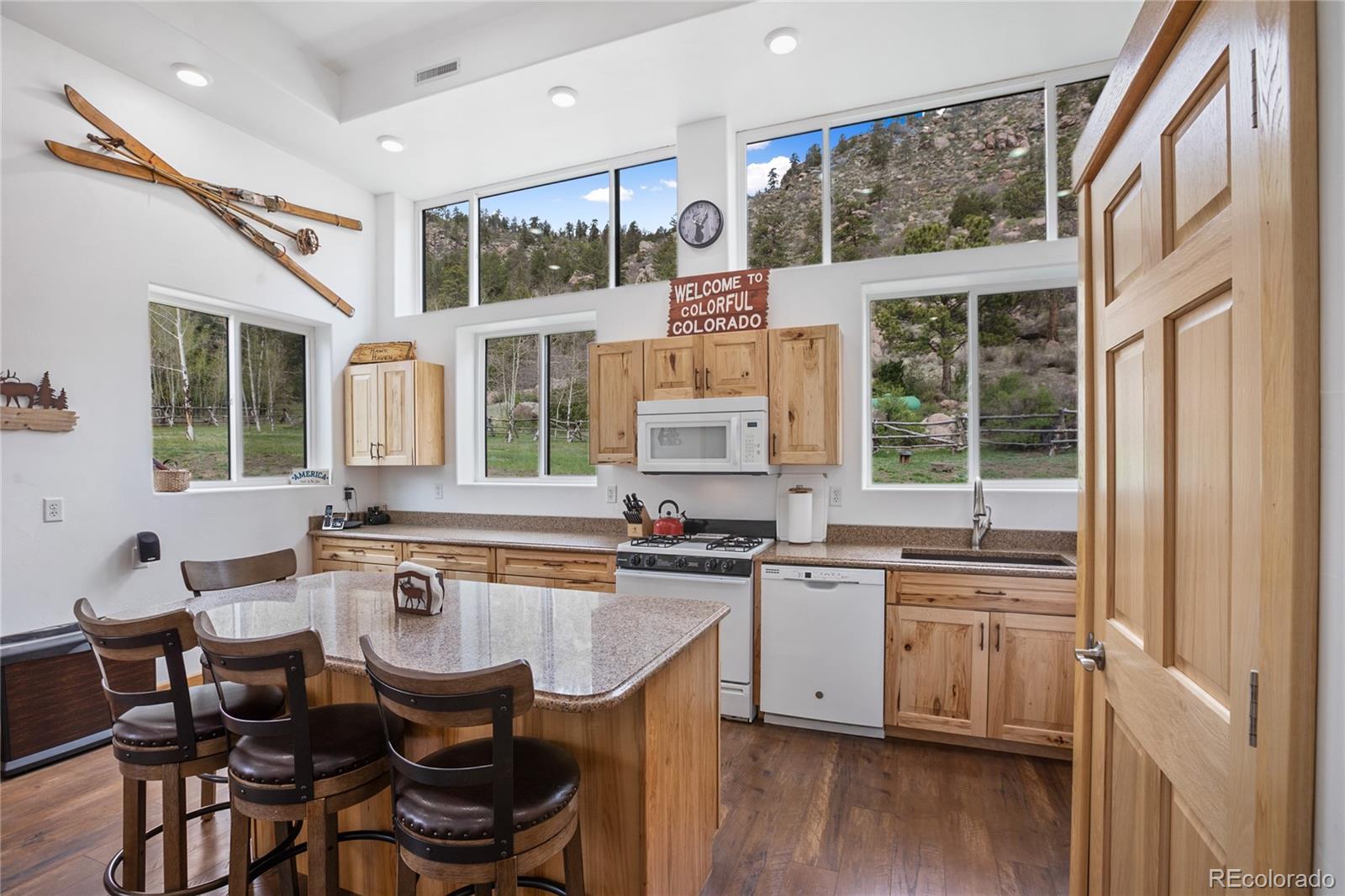 MLS Image #17 for 437  langnis road,guffey, Colorado