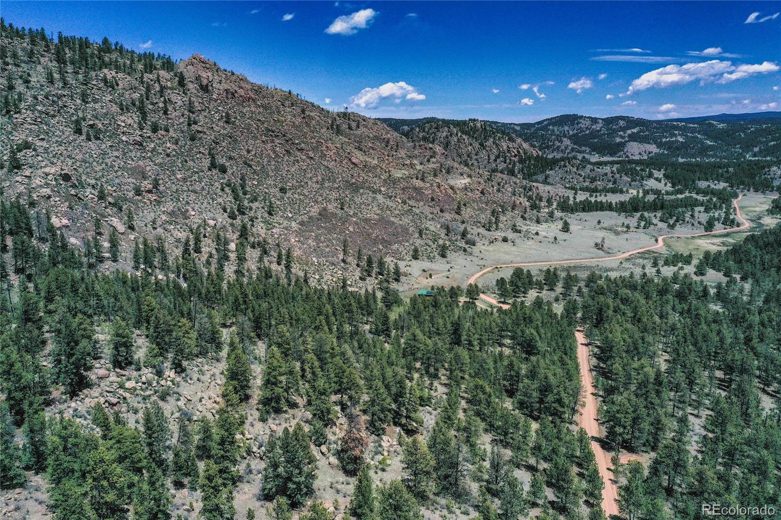 MLS Image #2 for 437  langnis road,guffey, Colorado