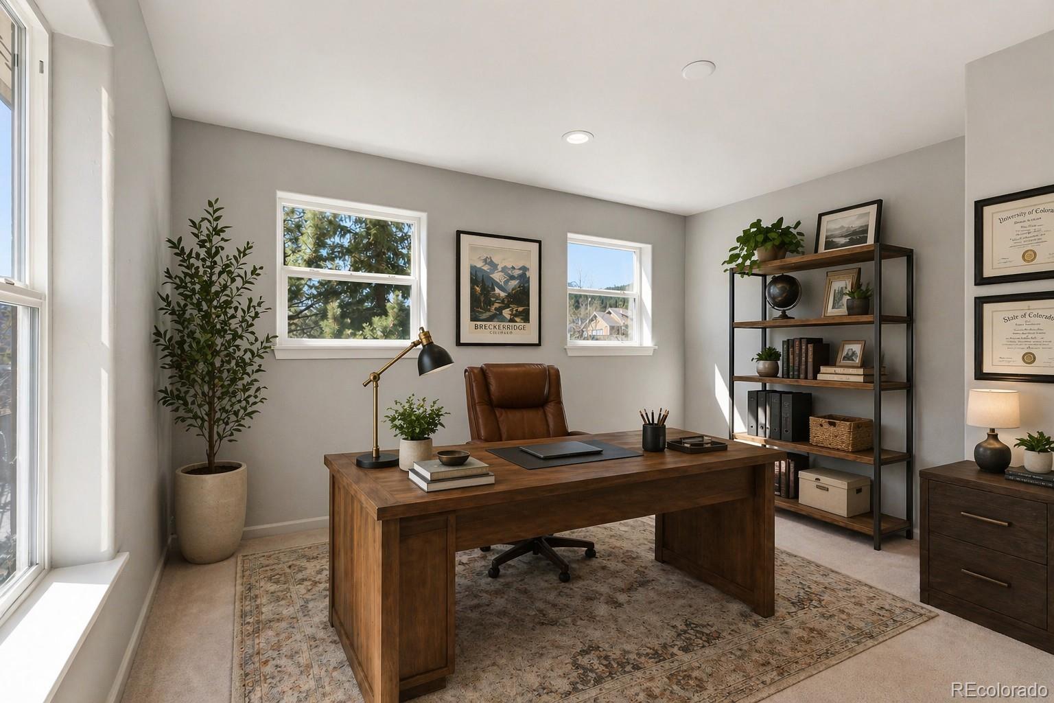MLS Image #15 for 87  audrey circle,breckenridge, Colorado