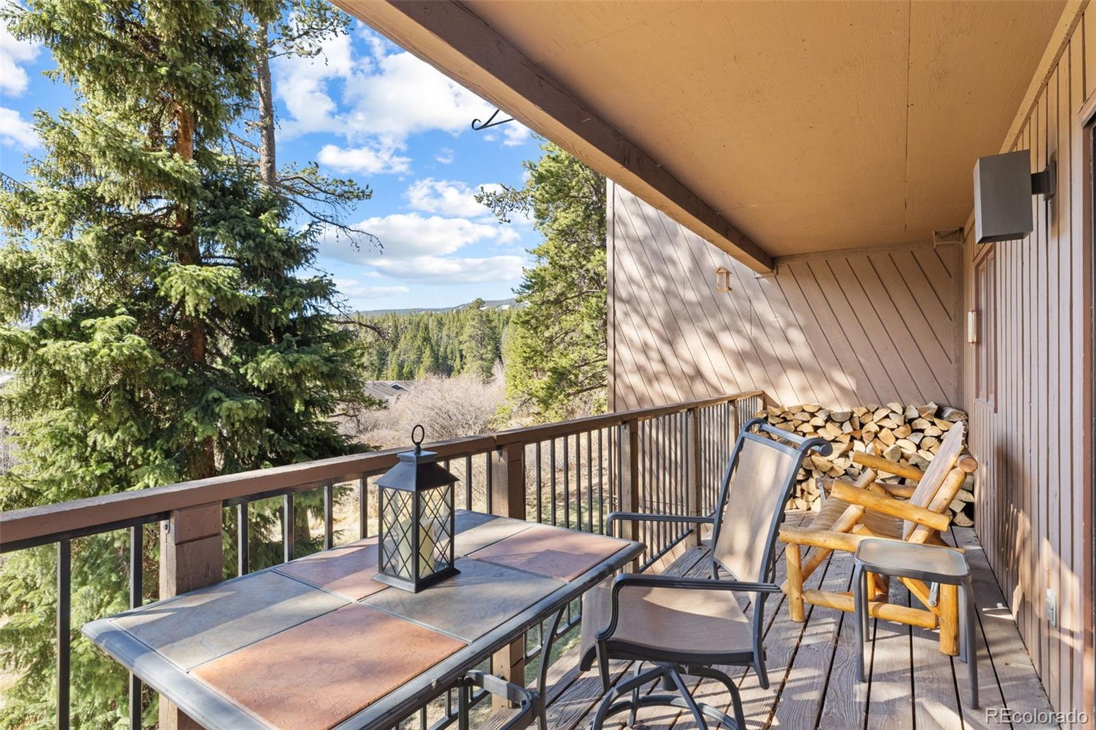 MLS Image #10 for 875  four o clock road d3,breckenridge, Colorado