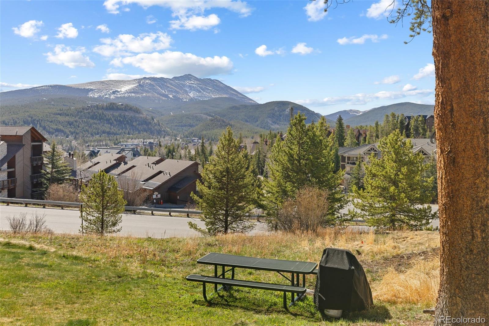 MLS Image #13 for 875  four o clock road d3,breckenridge, Colorado