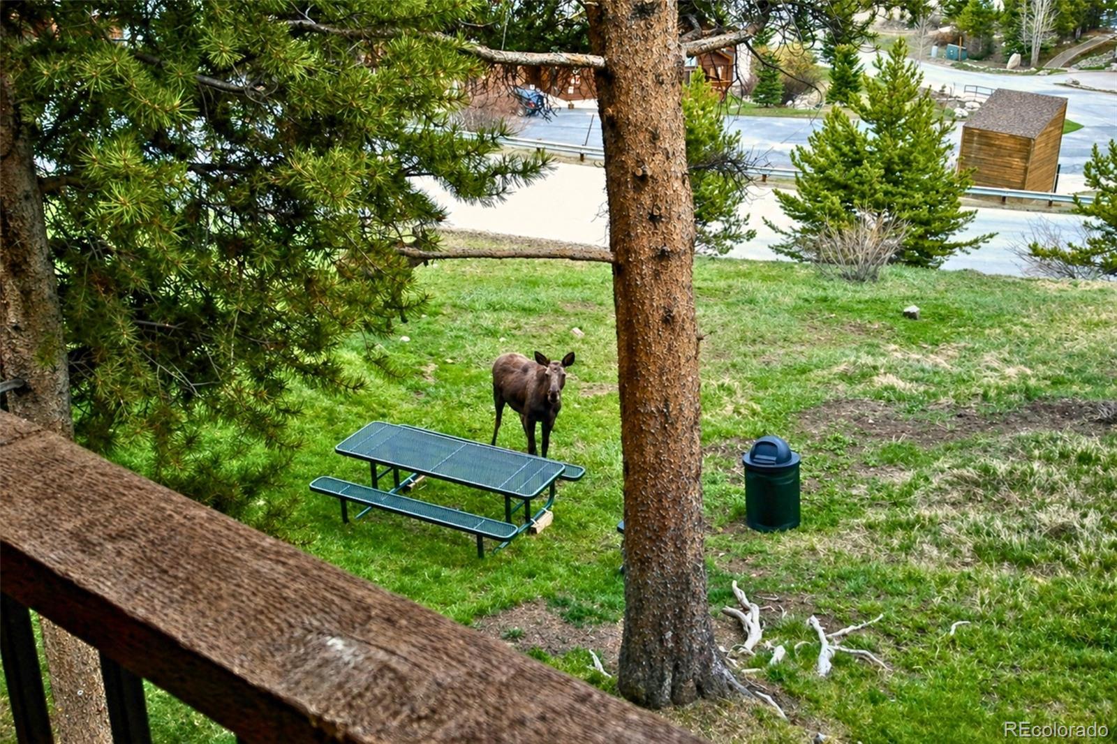 MLS Image #14 for 875  four o clock road d3,breckenridge, Colorado