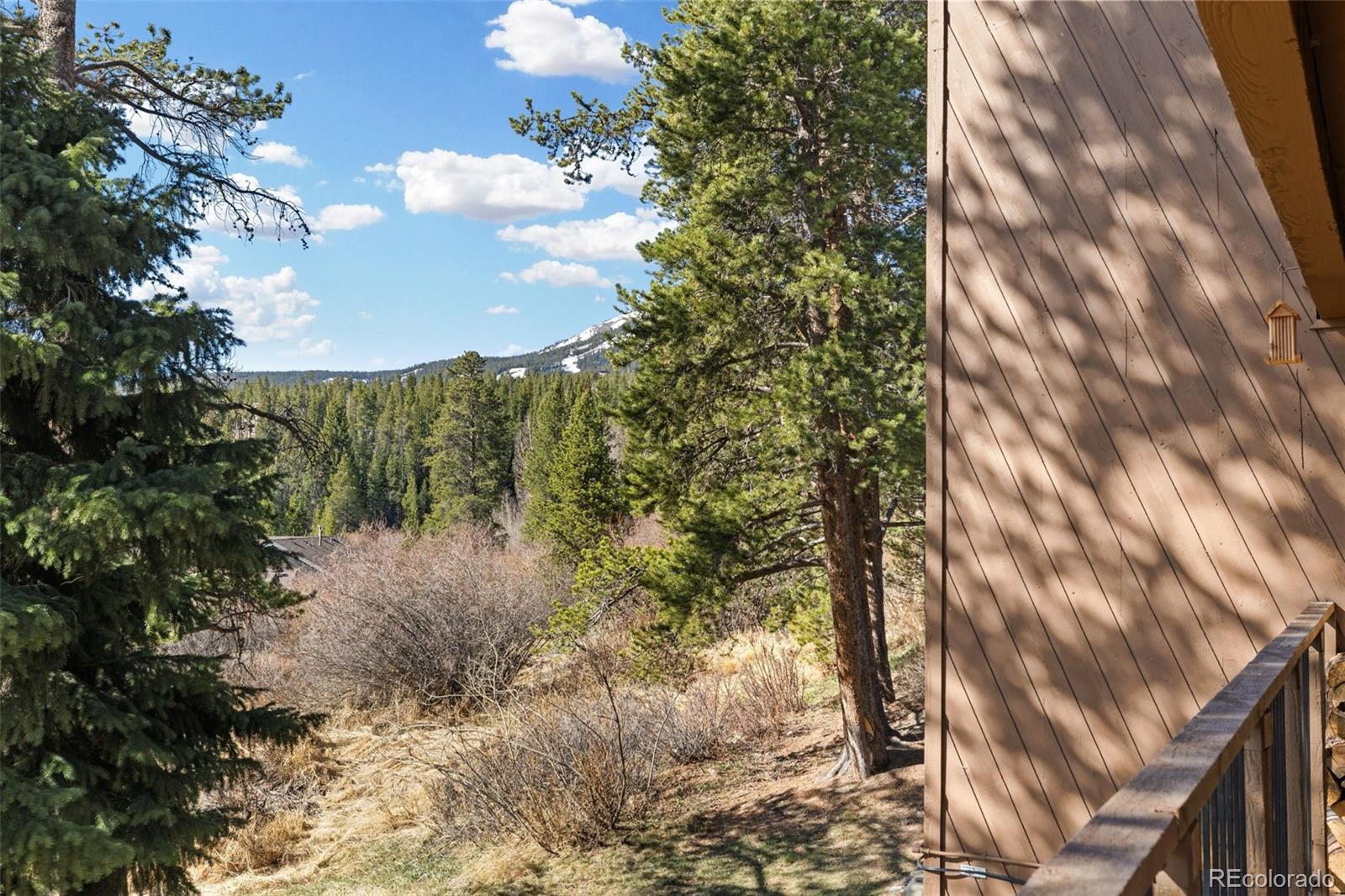 MLS Image #29 for 875  four o clock road d3,breckenridge, Colorado