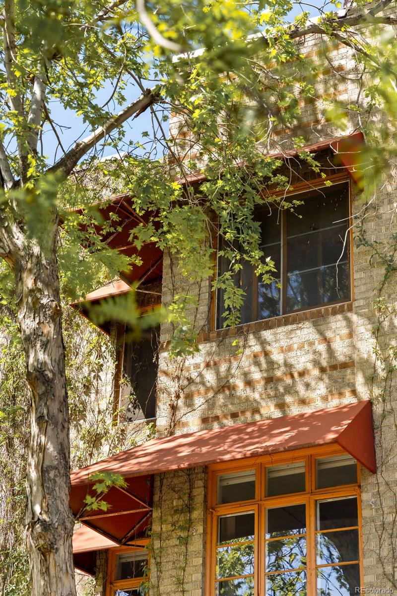 MLS Image #3 for 1029 n pennsylvania street 2e,denver, Colorado