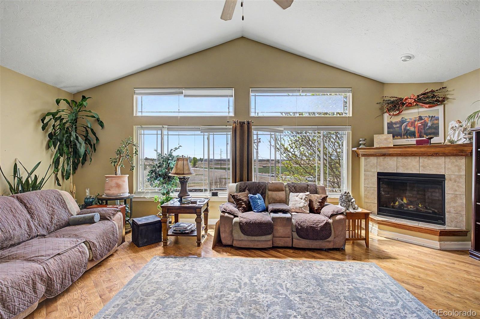 MLS Image #4 for 5046  rangeview avenue,longmont, Colorado