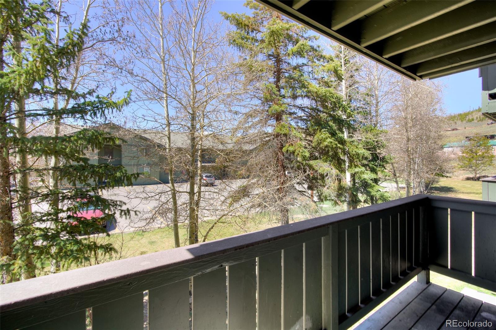 MLS Image #10 for 893  straight creek drive,dillon, Colorado