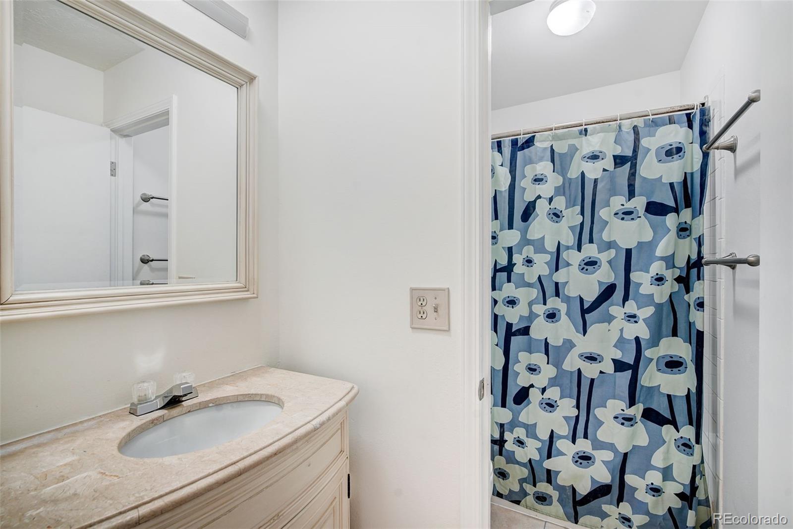 MLS Image #18 for 893  straight creek drive,dillon, Colorado
