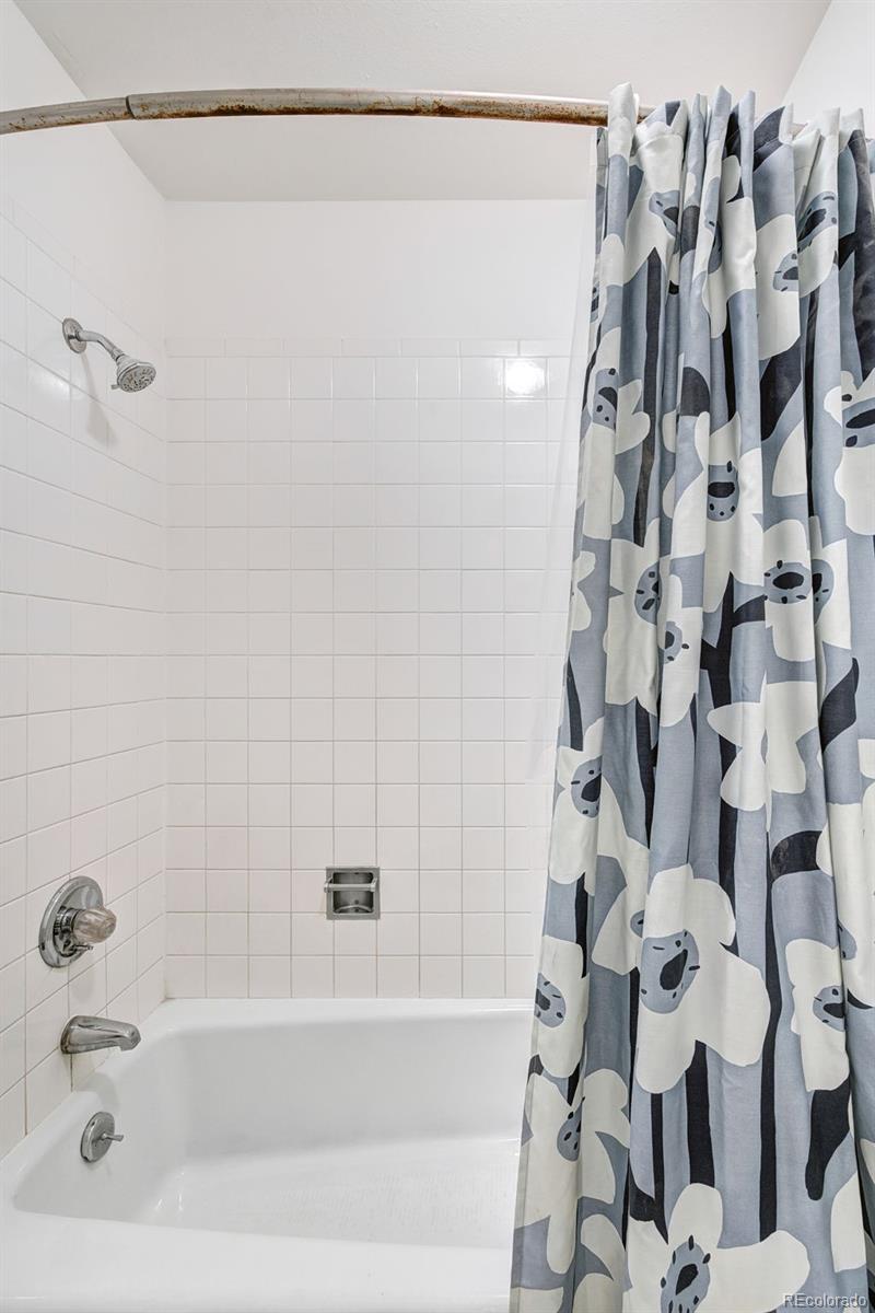 MLS Image #19 for 893  straight creek drive,dillon, Colorado